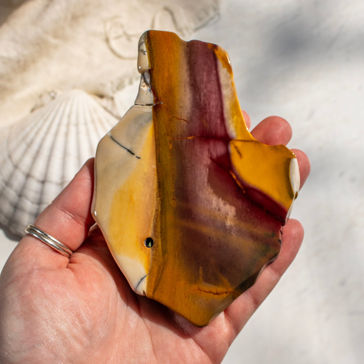 Hand holding a multicolored stone with a shell in the background