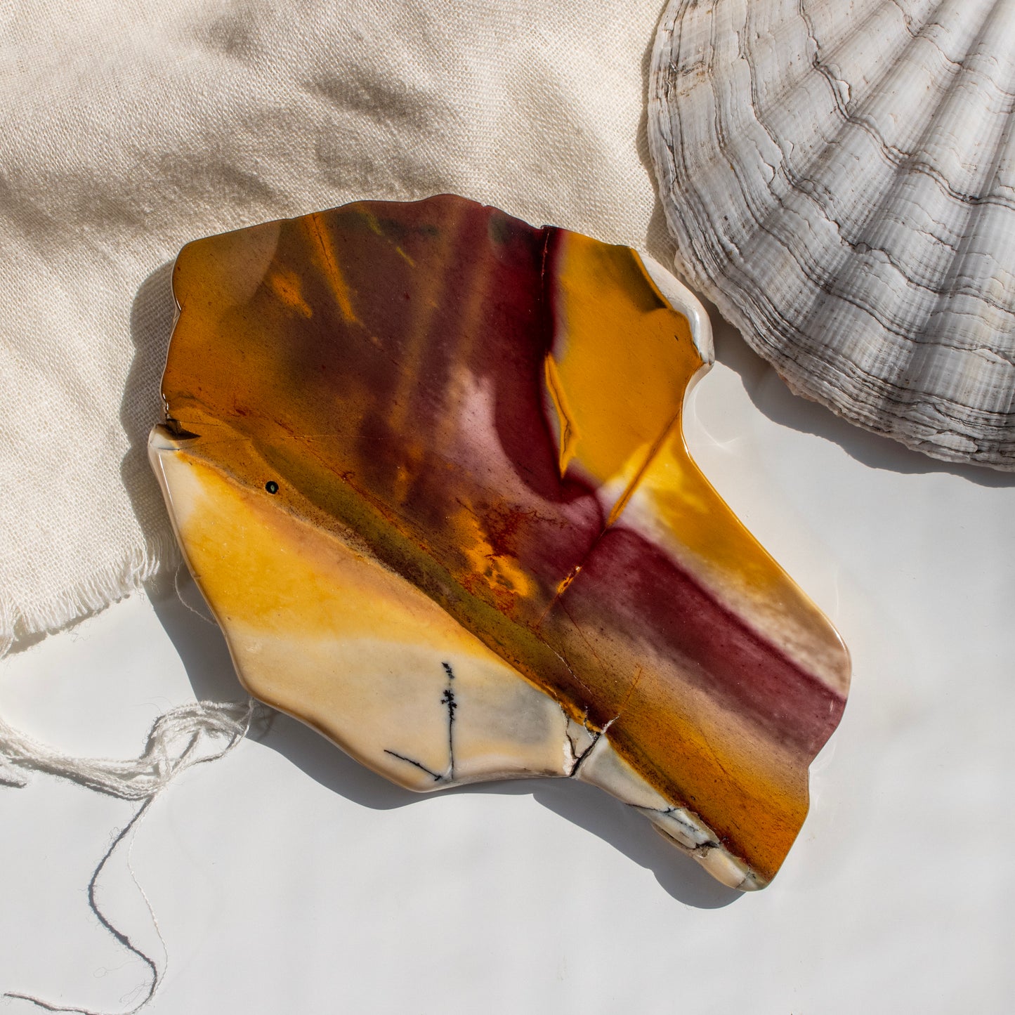 Marbled stone with a shell on a textured surface