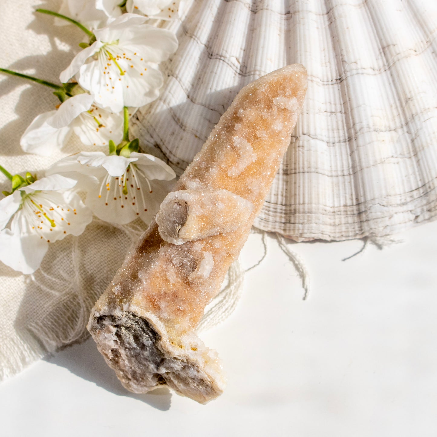 Mineral crystal with white flowers and a shell on a light background