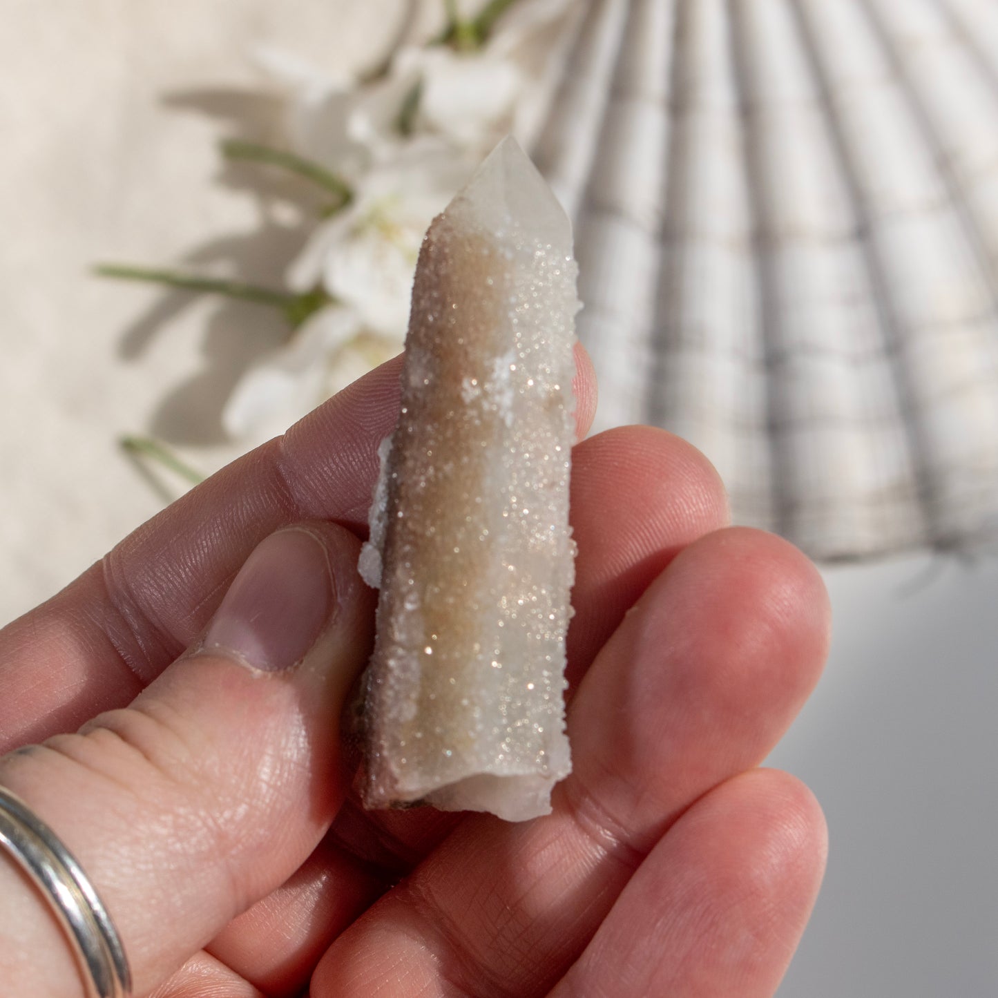 Hand holding a crystal with a shell and flowers in the background