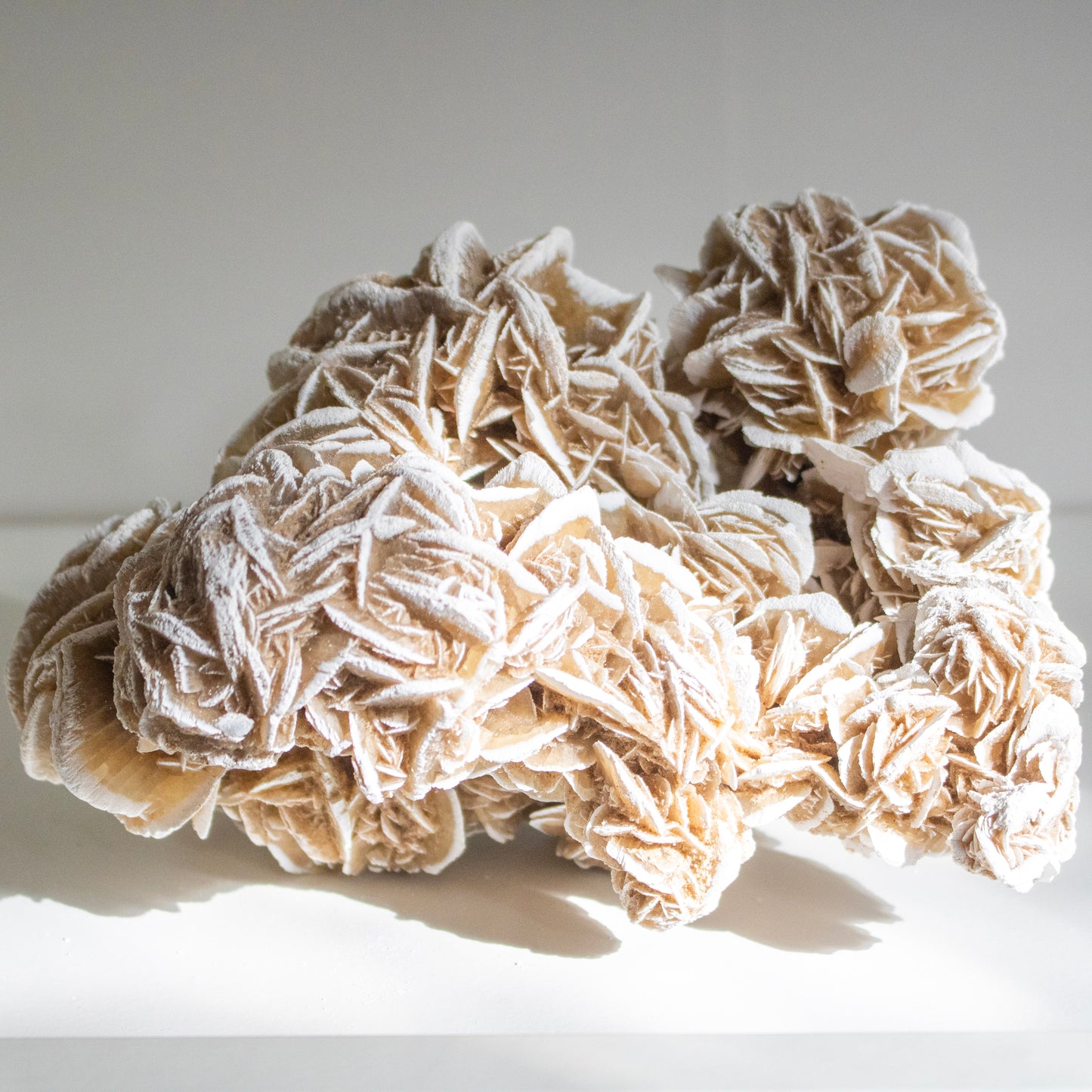 Large Desert Rose Crystal Cluster – Statement Piece