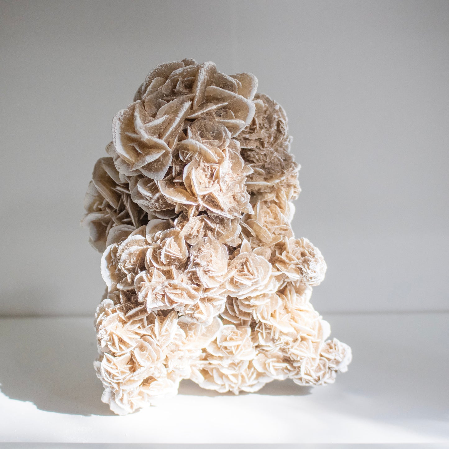 Large Desert Rose Crystal Cluster – Statement Piece