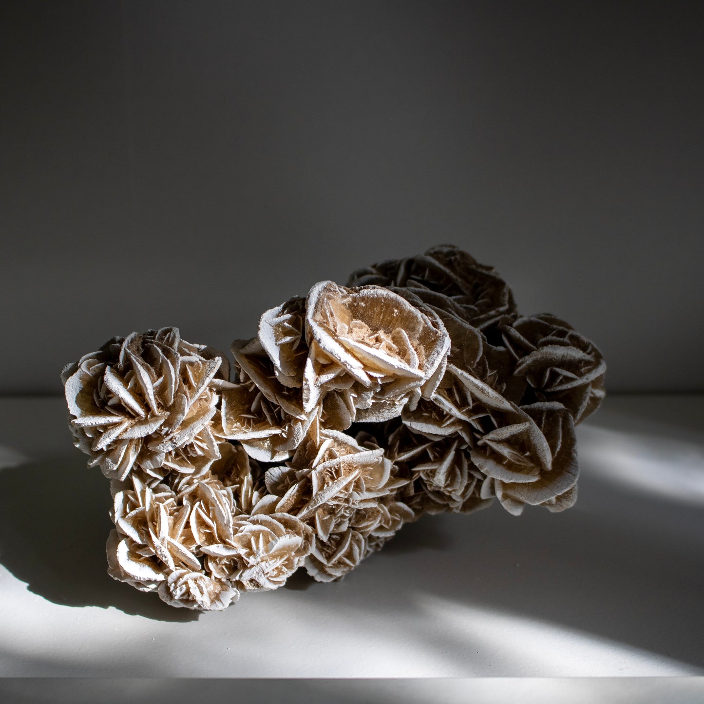 Large Desert Rose Crystal Cluster – Statement Piece