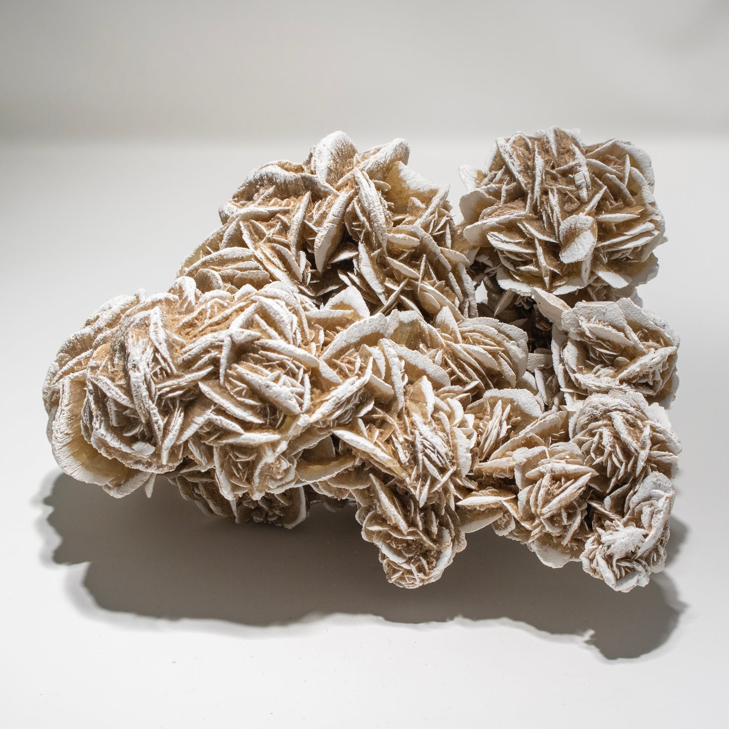 Large Desert Rose Crystal Cluster – Statement Piece