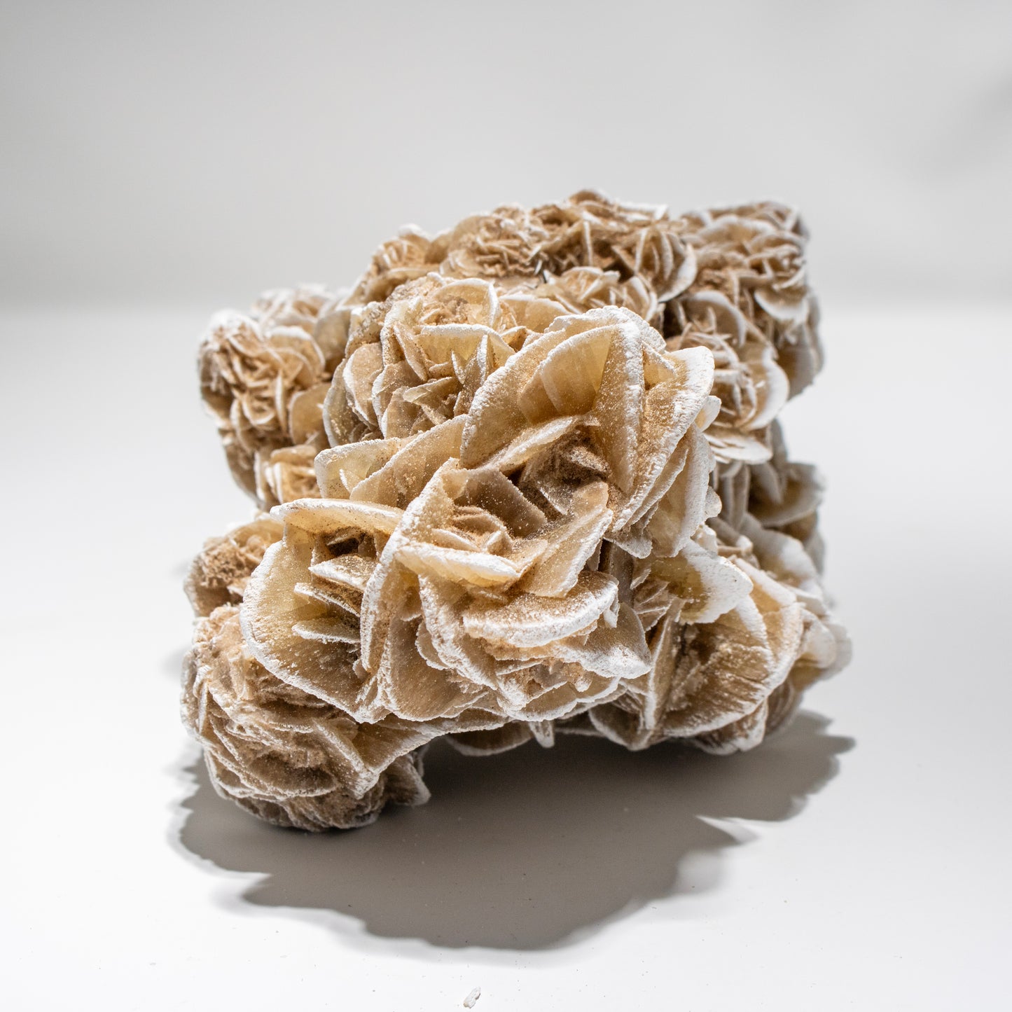 Large Desert Rose Crystal Cluster – Statement Piece