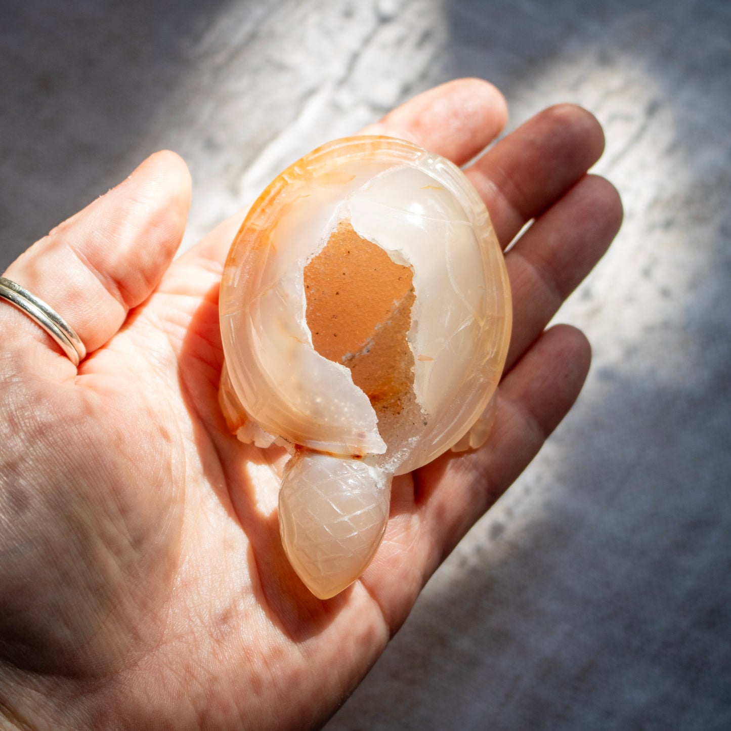 Person holding a cracked shell with a soft interior