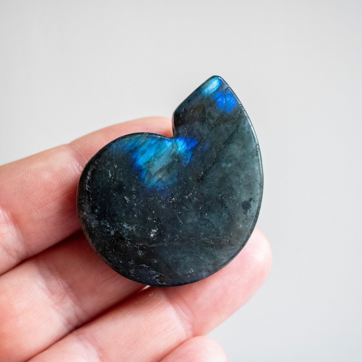 Labradorite stone held in a hand against a light gray background