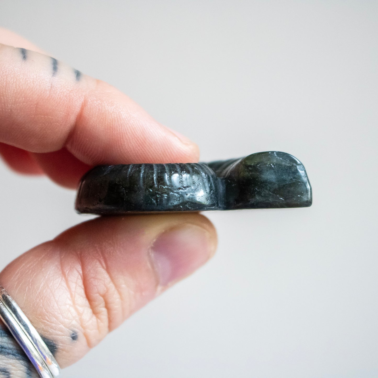 Hand holding a dark stone against a light background