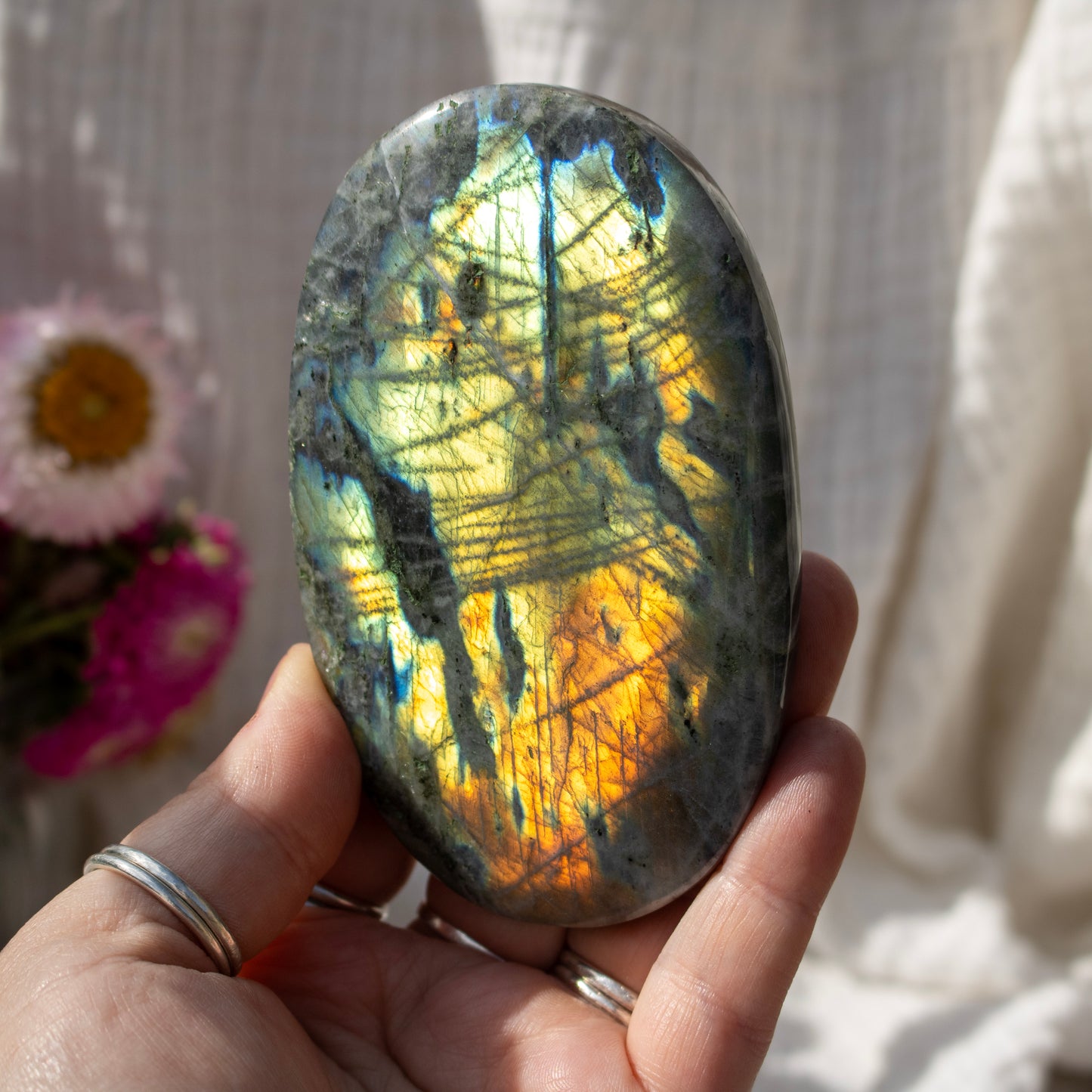 Hand holding a labradorite stone with colorful patterns, blurred flowers in the background