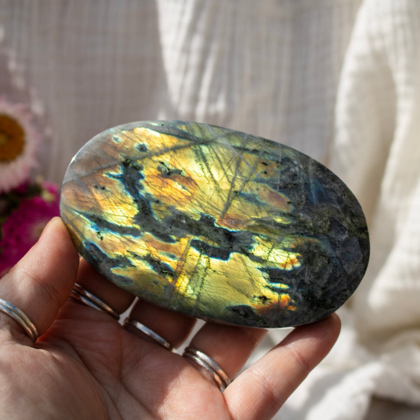 Labradorite crystal held between fingers against a neutral background