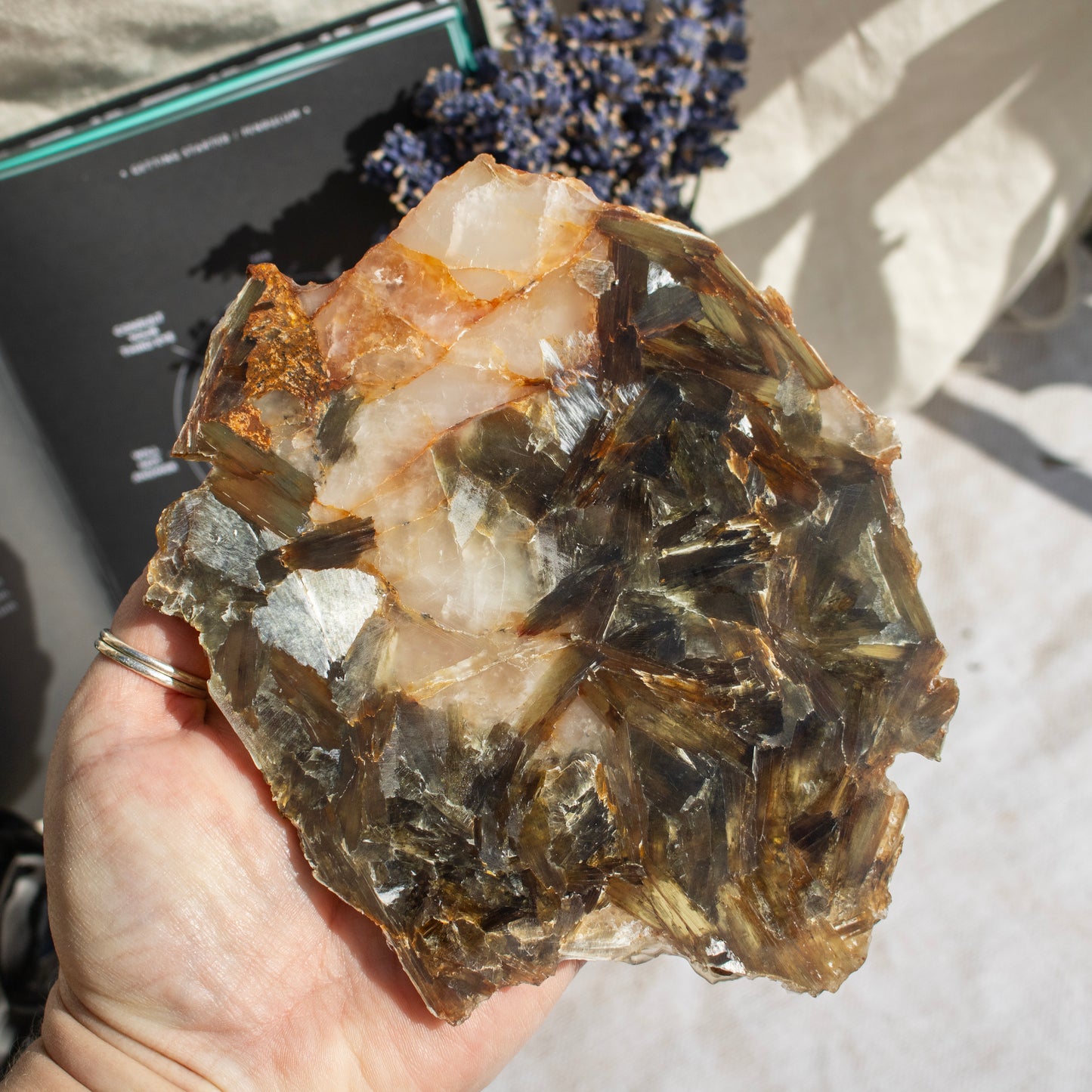 Golden Mica with Quartz Slice
