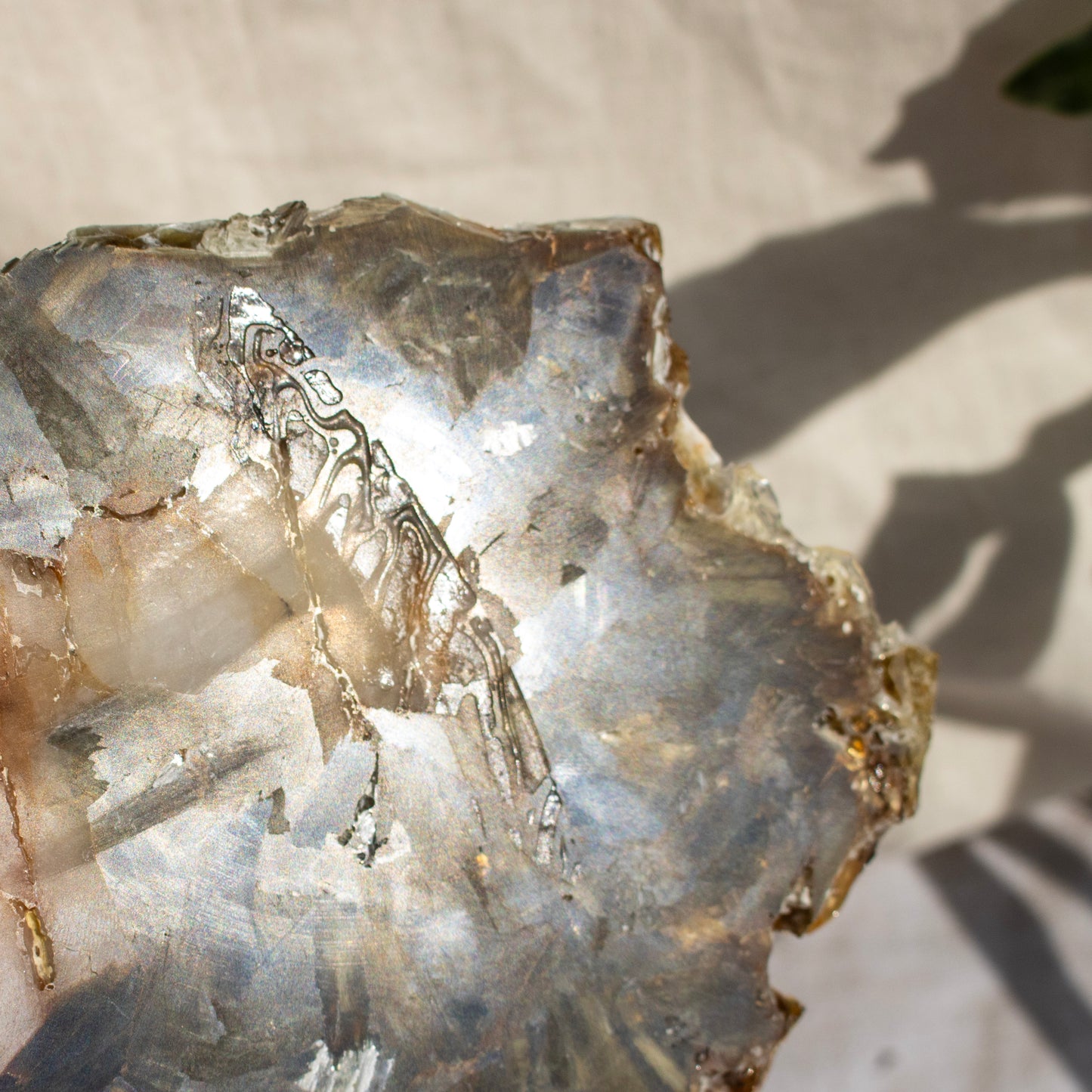 Golden Mica with Quartz Slice