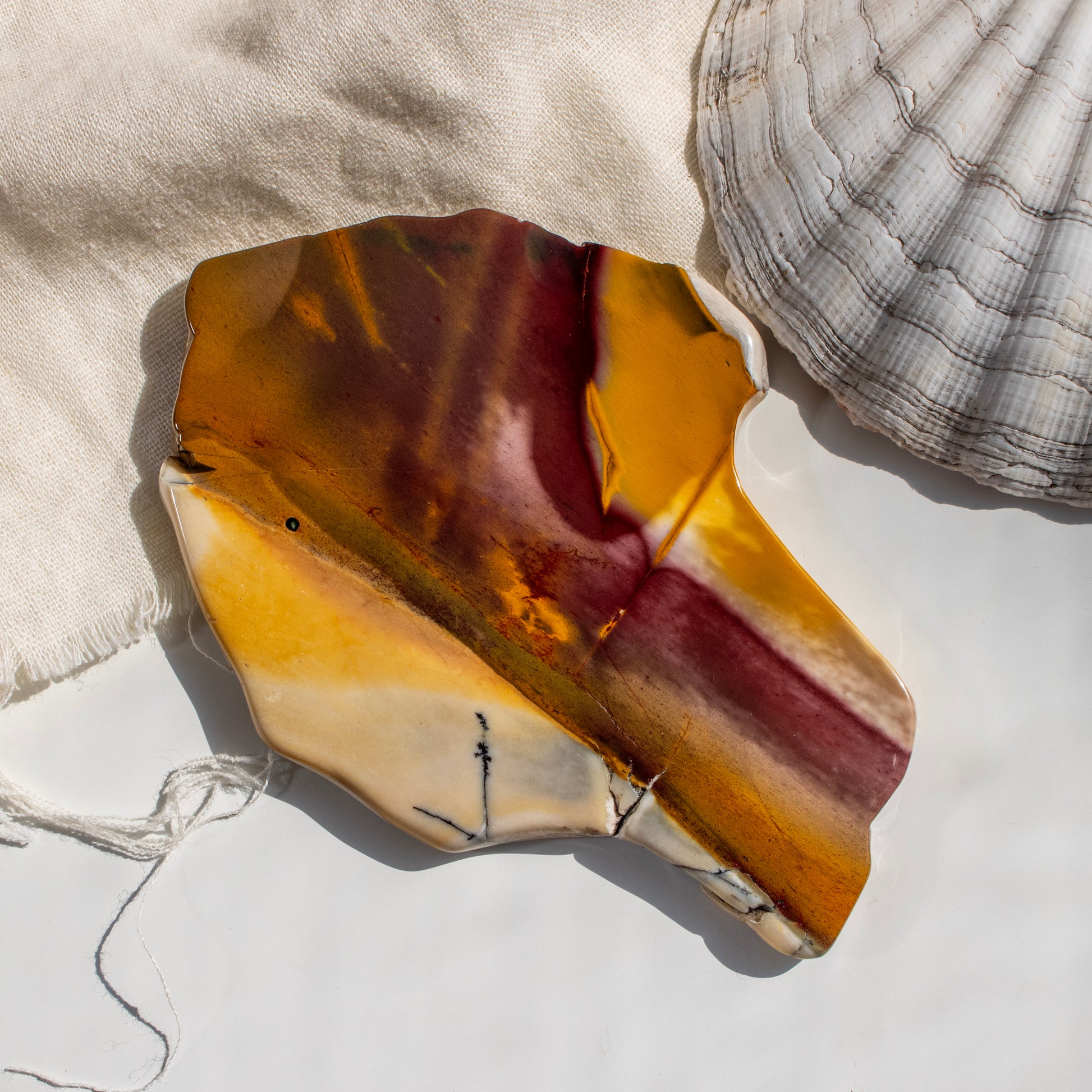 Marbled stone with a shell on a textured surface