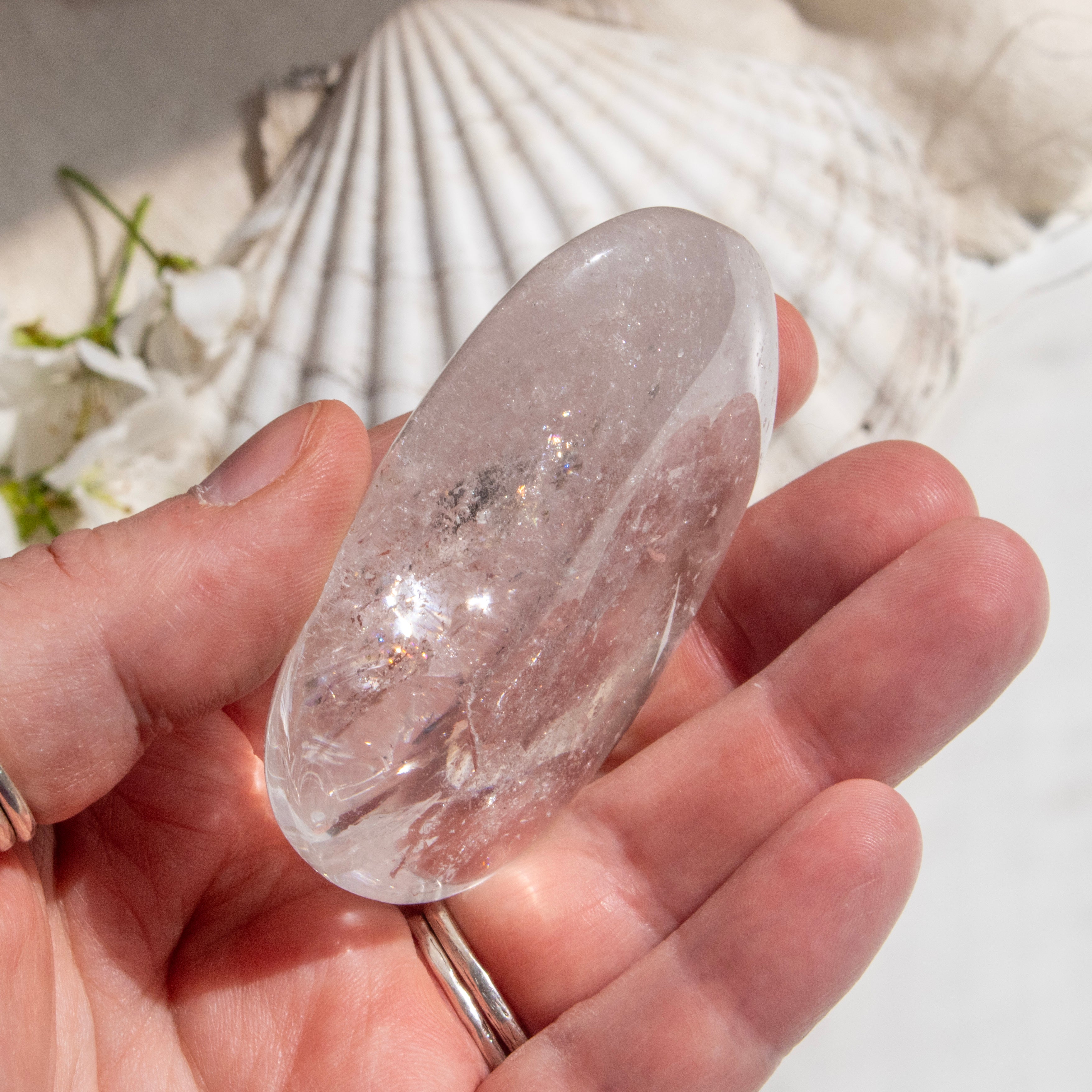 Hand holding a clear crystal palmstone with a shell and flowers in the background