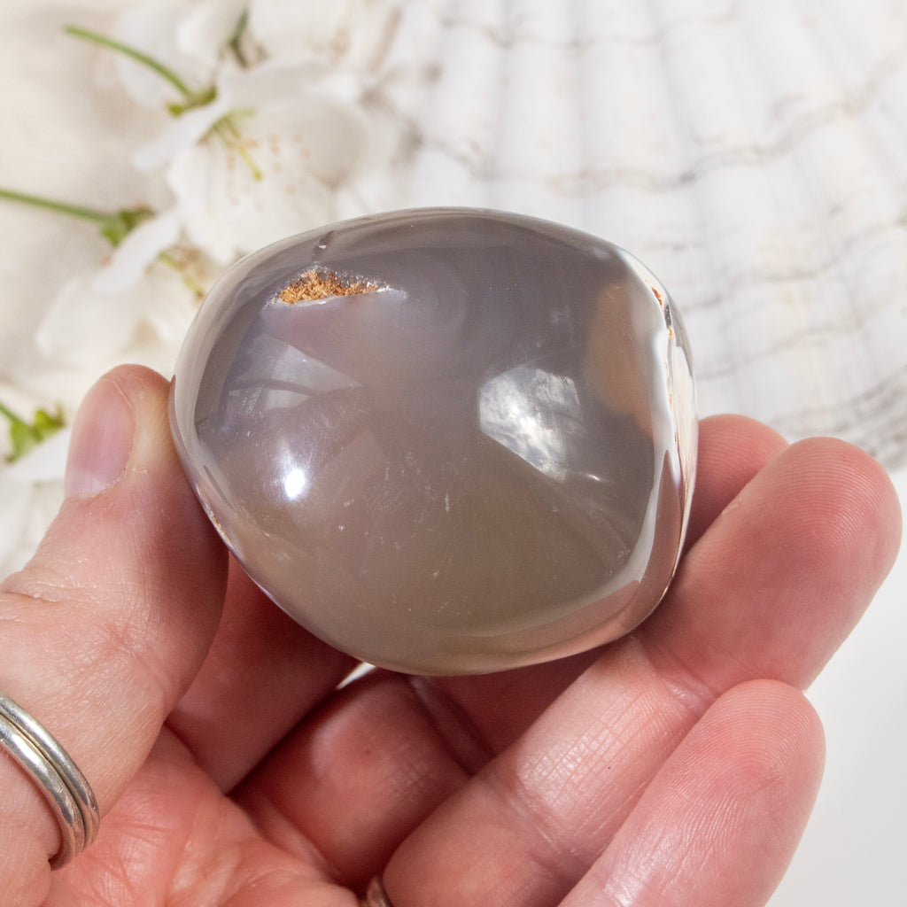 Hand holding a large, smooth stone with a white floral background