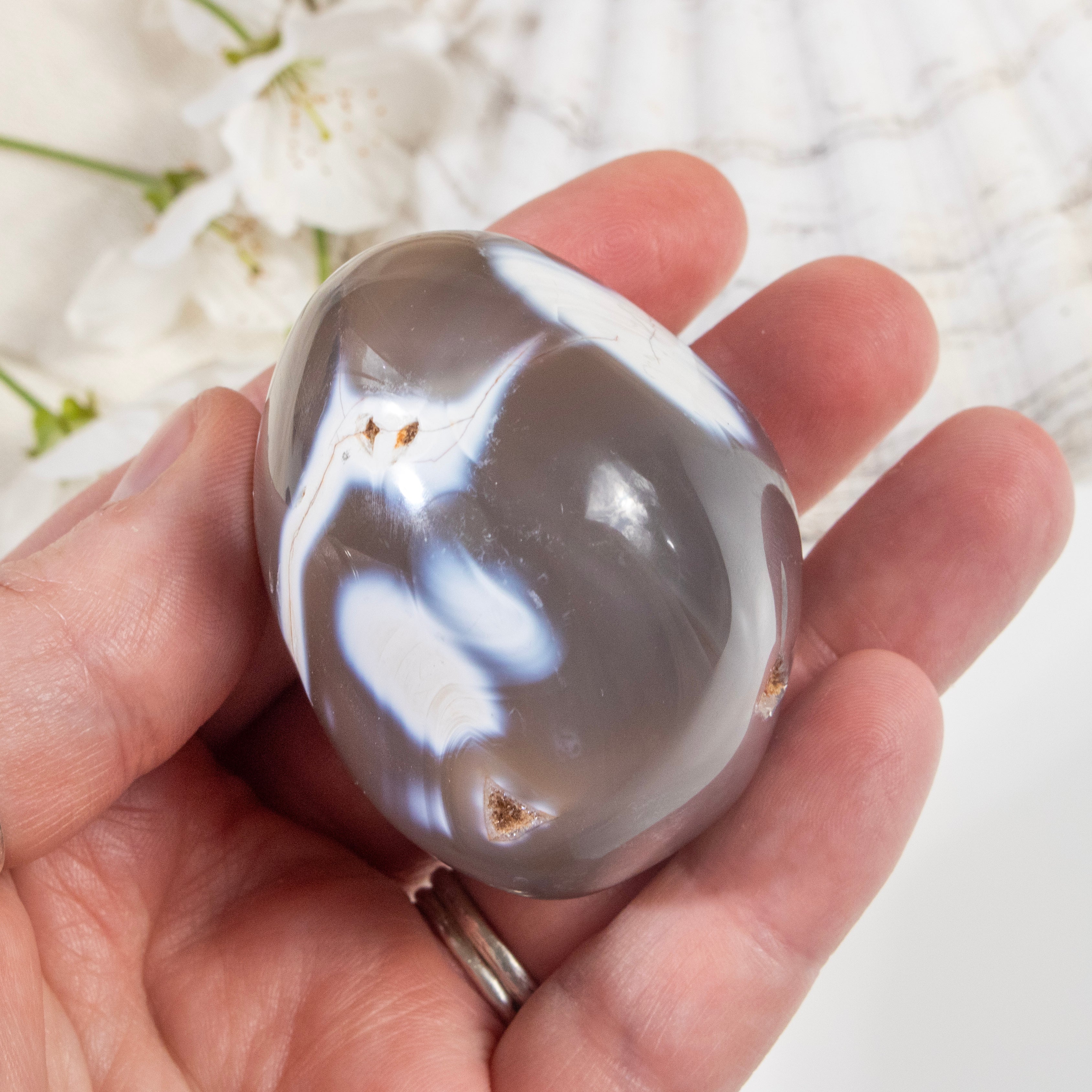 Hand holding a large, smooth stone with a white background