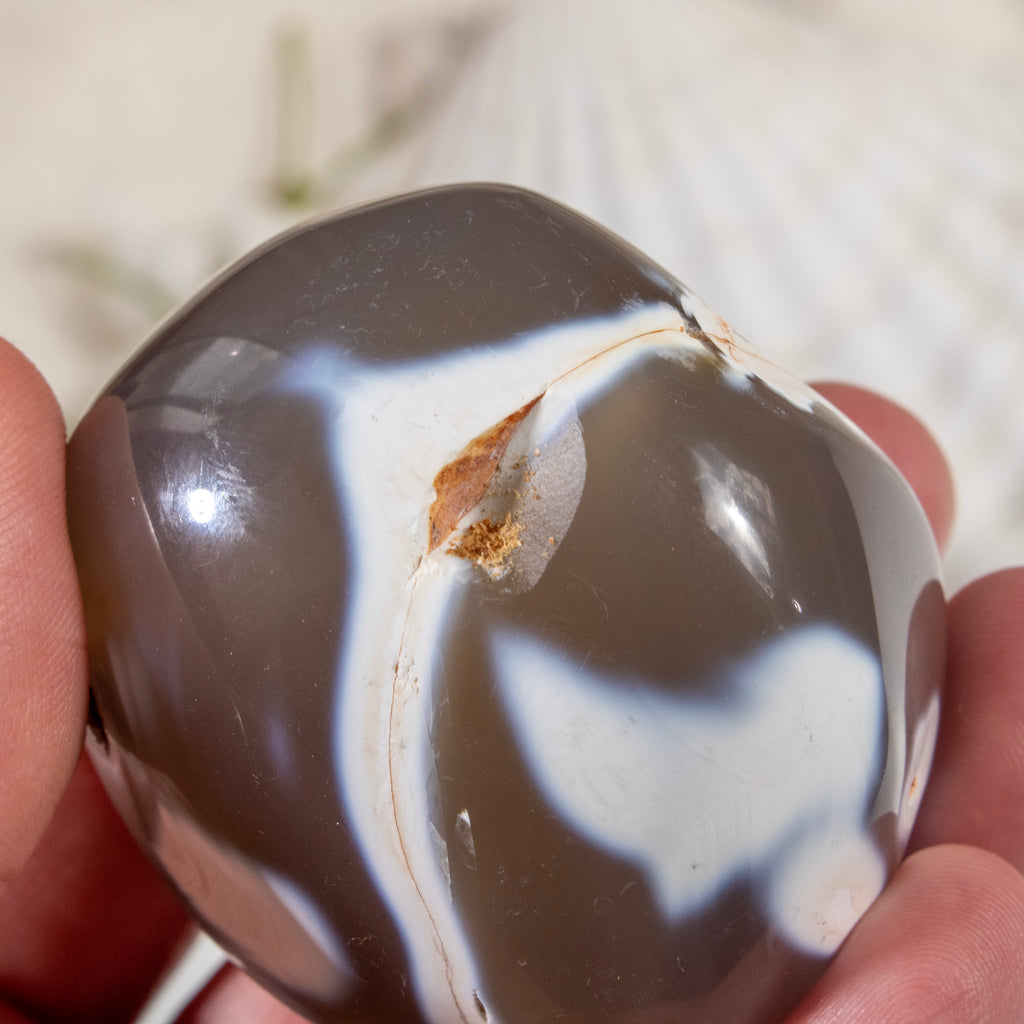 Person holding a marbled stone with brown and white patterns
