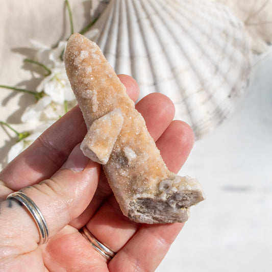 Hand holding a crystal with a shell and flowers in the background