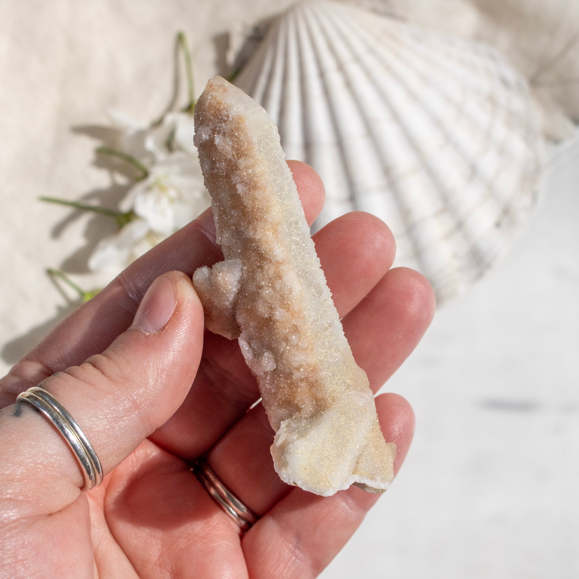 Hand holding a crystal with a natural background of flowers and seashells