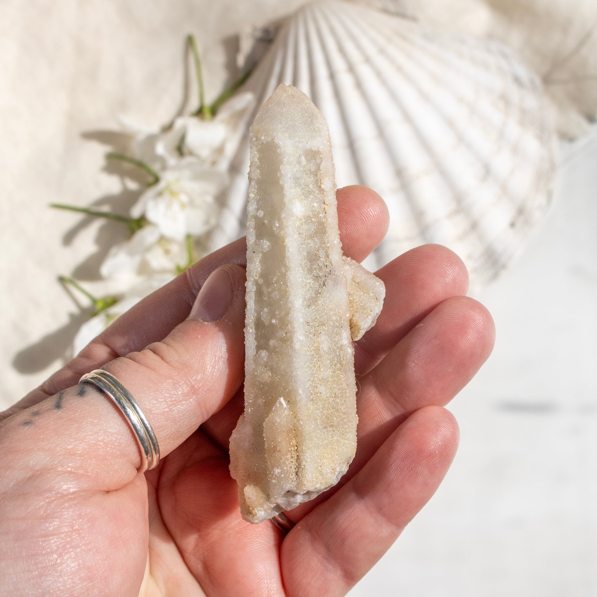 Hand holding a crystal with a shell and flowers in the background