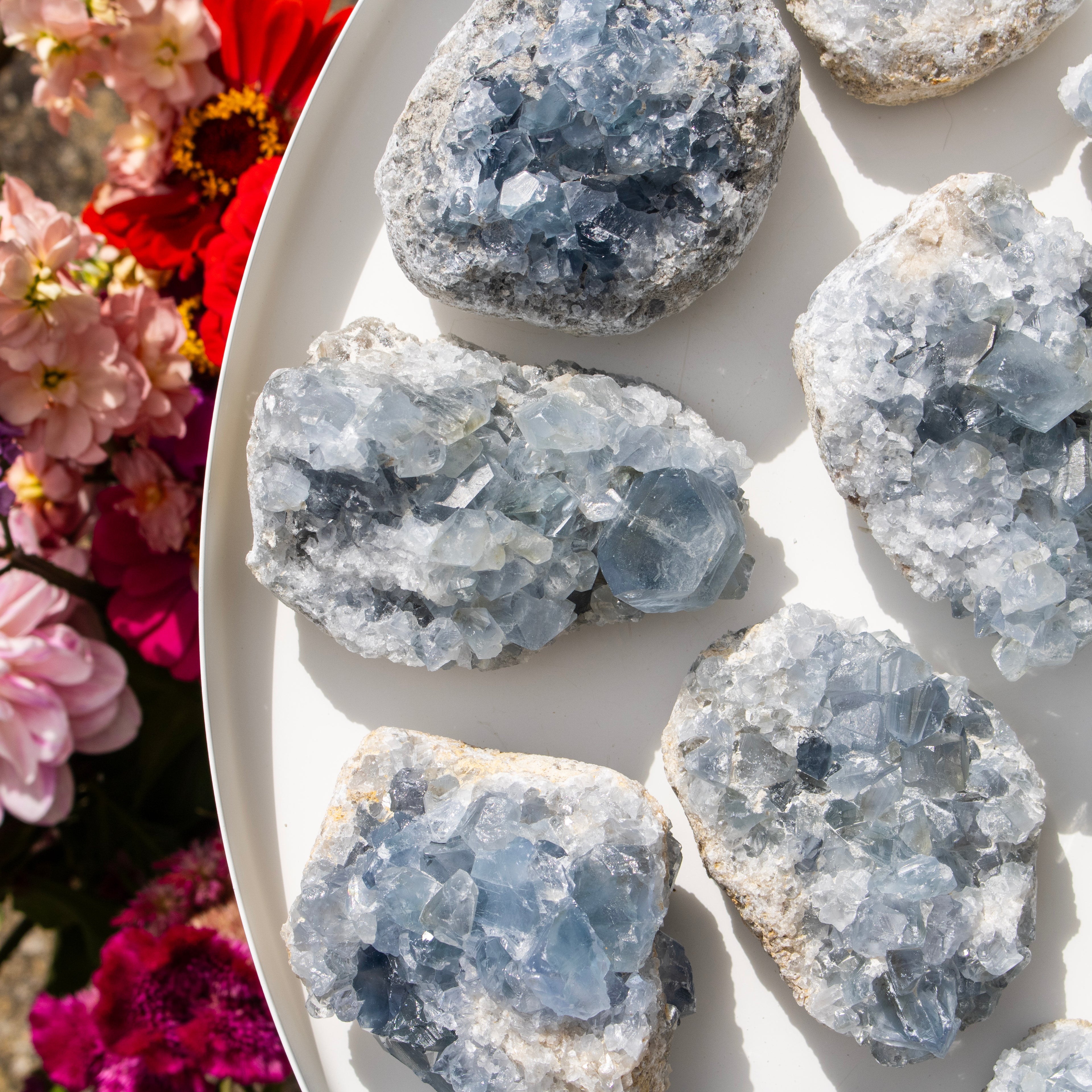 Close-up of crystal rocks on a white plate with colorful flowers in the background