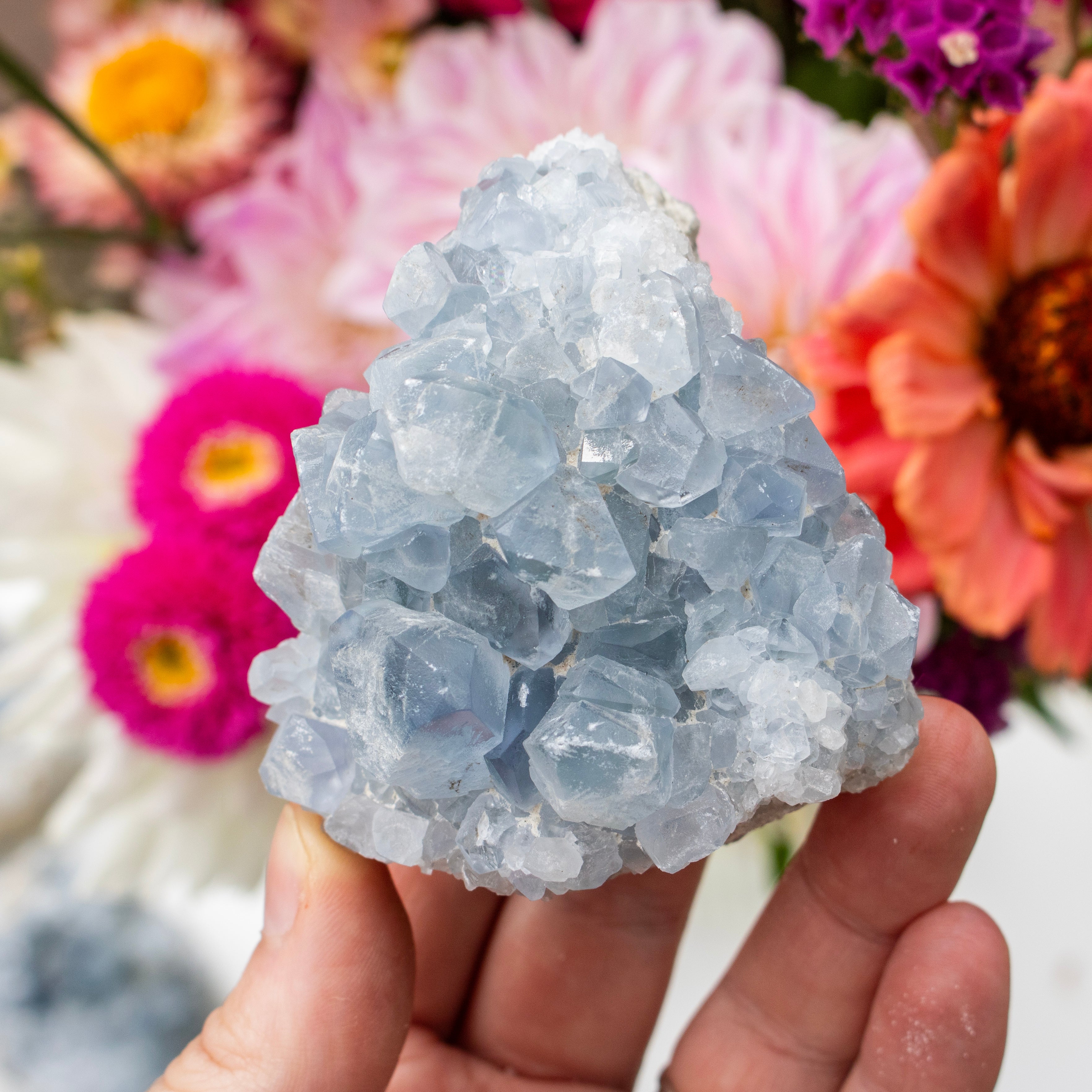 Crystal cluster held by a hand with colorful flowers in the background