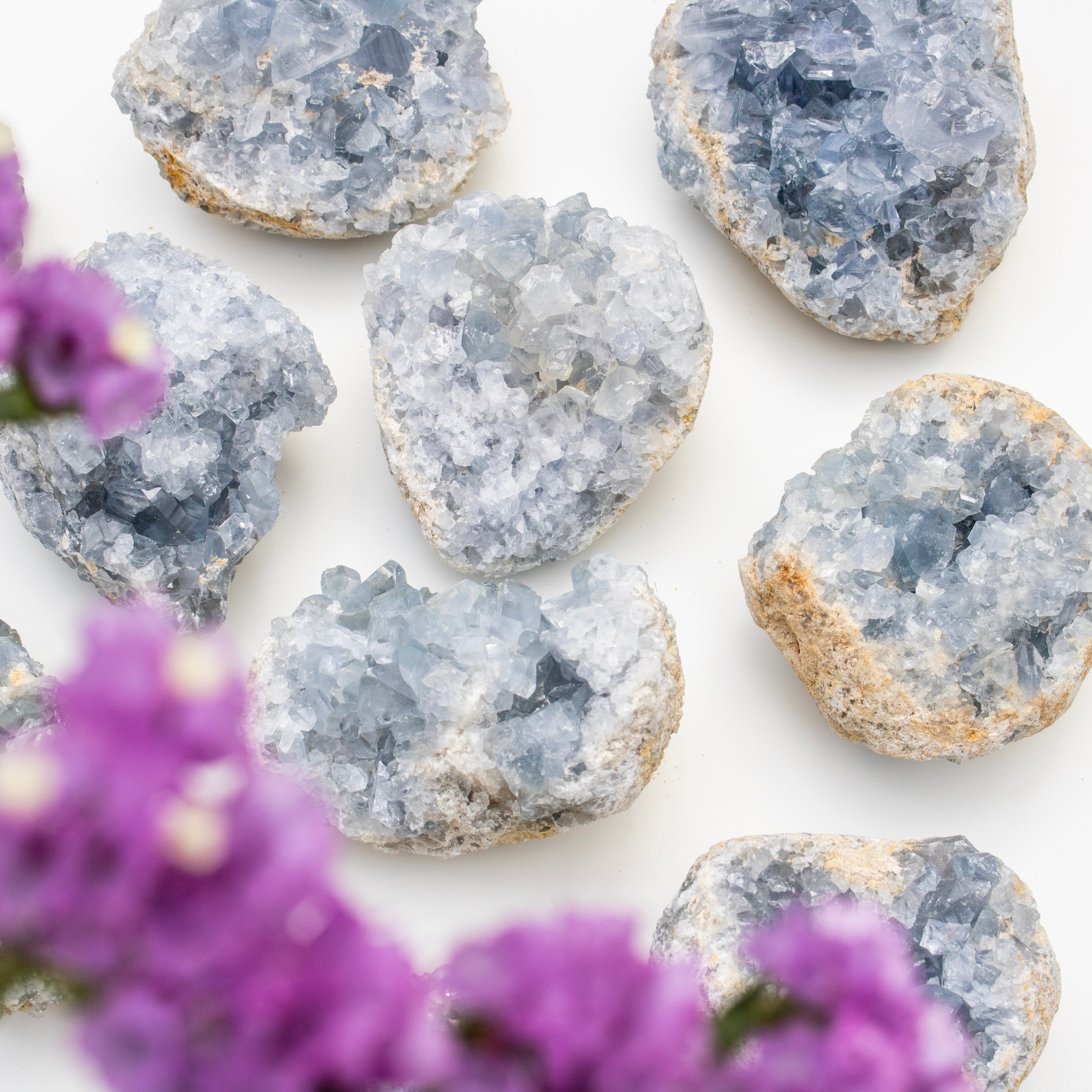 Geode crystals with purple flowers on a white background