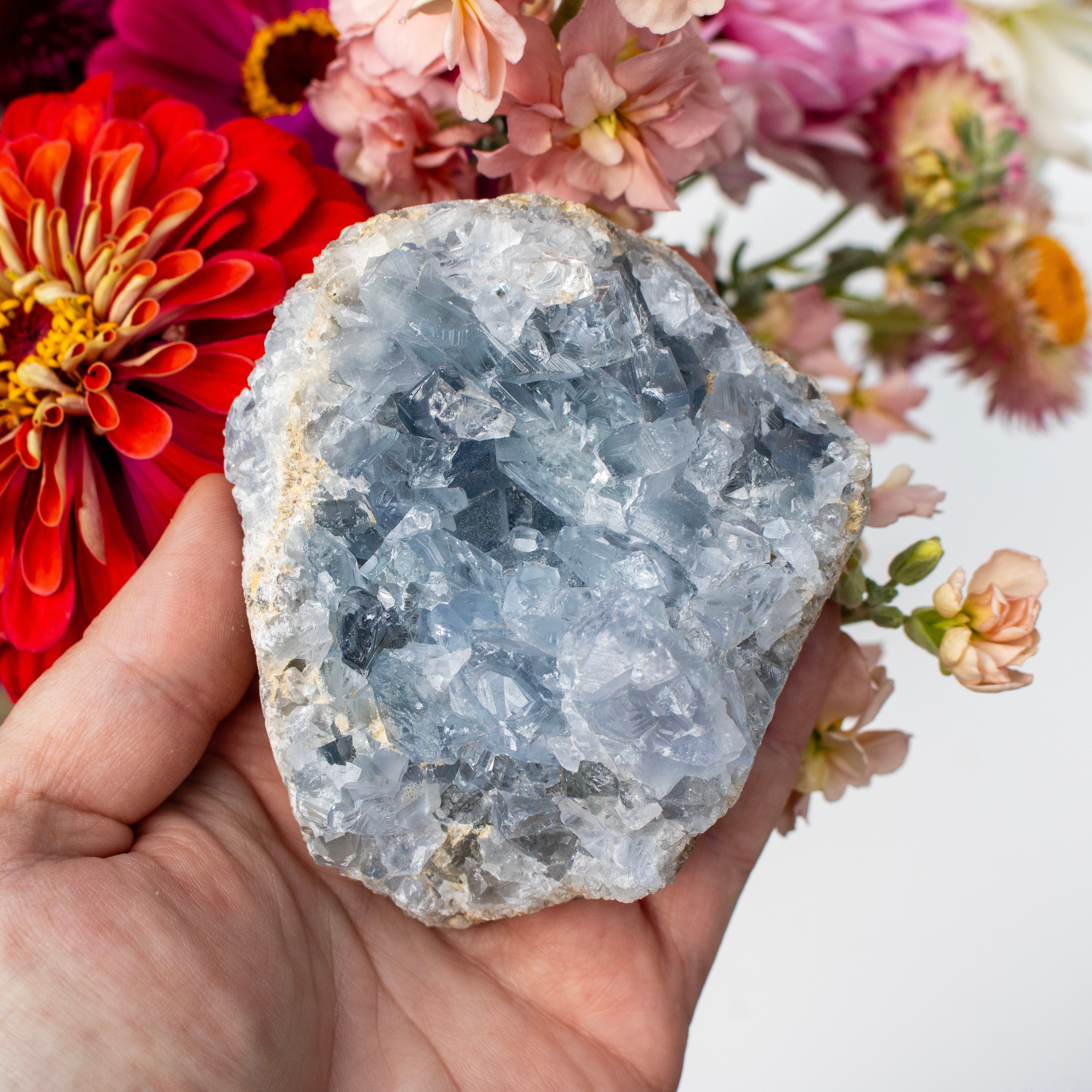 Hand holding a crystal with colorful flowers in the background