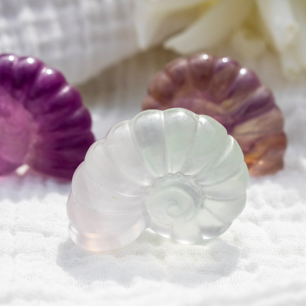 White shell-shaped fluorite crystal with purple and pink shell-shaped crystals on a white background