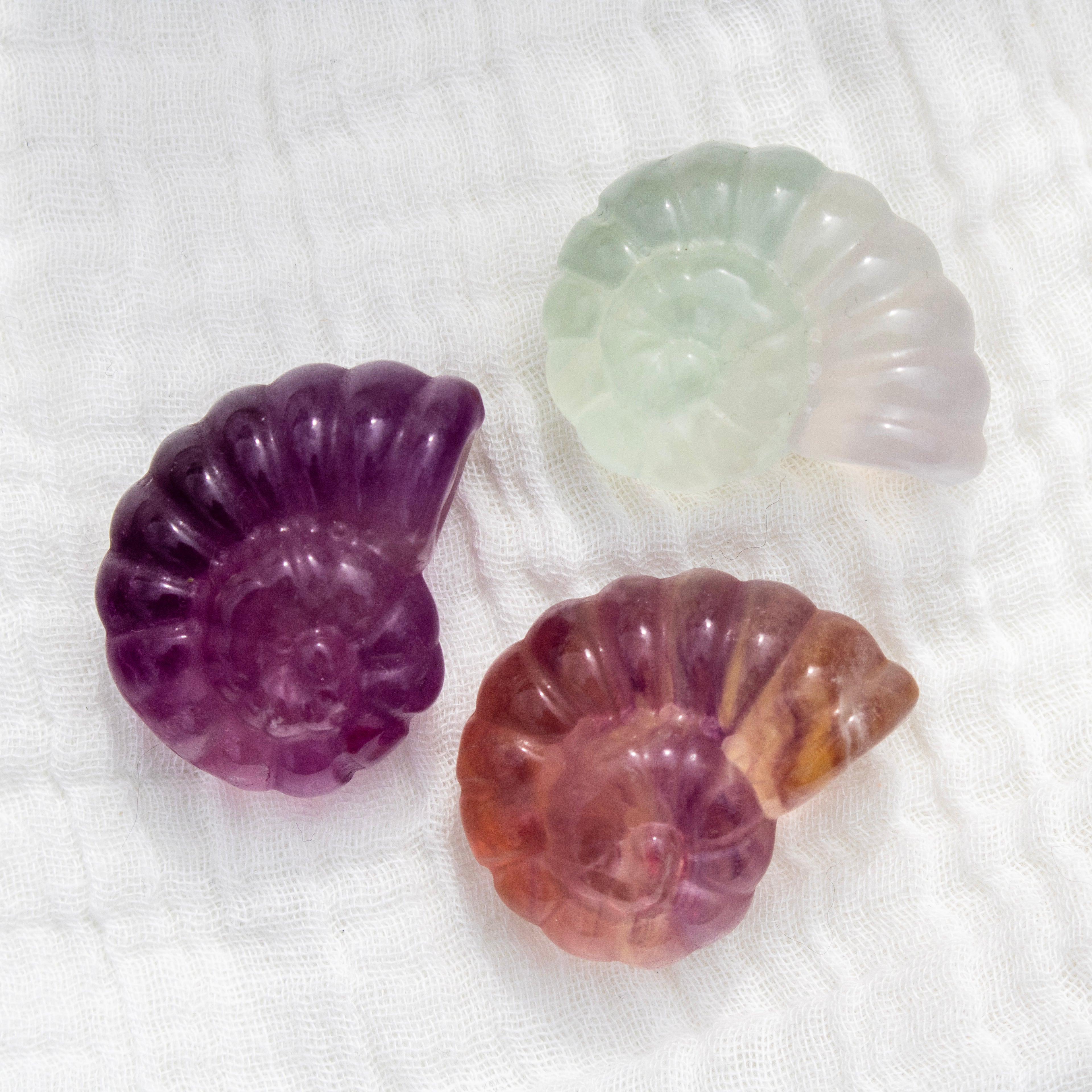 Three colorful shell-shaped stones on a white fabric background