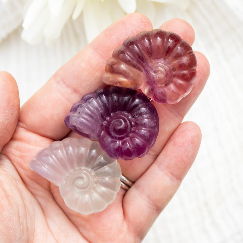 Three shell-shaped crystals held in a hand against a white background