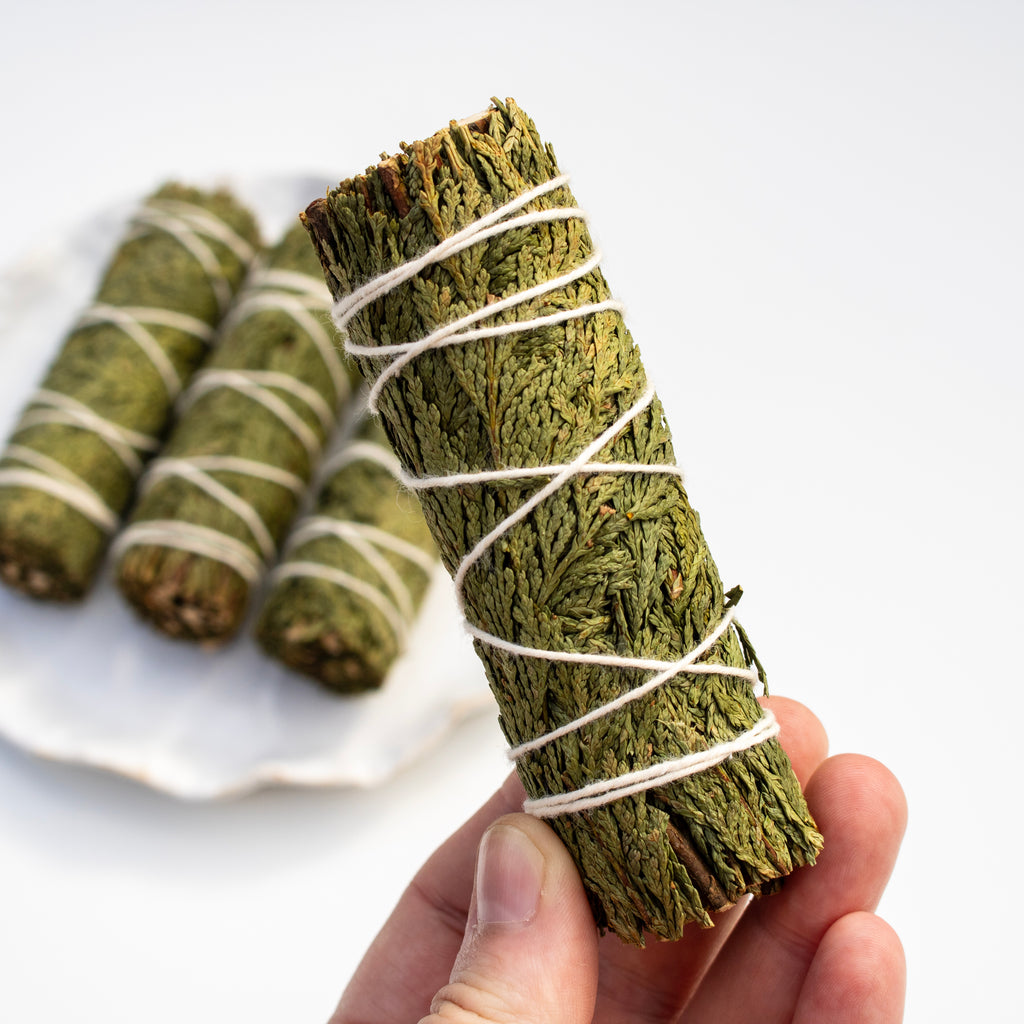 Hand holding a bundle of green cedar wrapped with twine on a white background