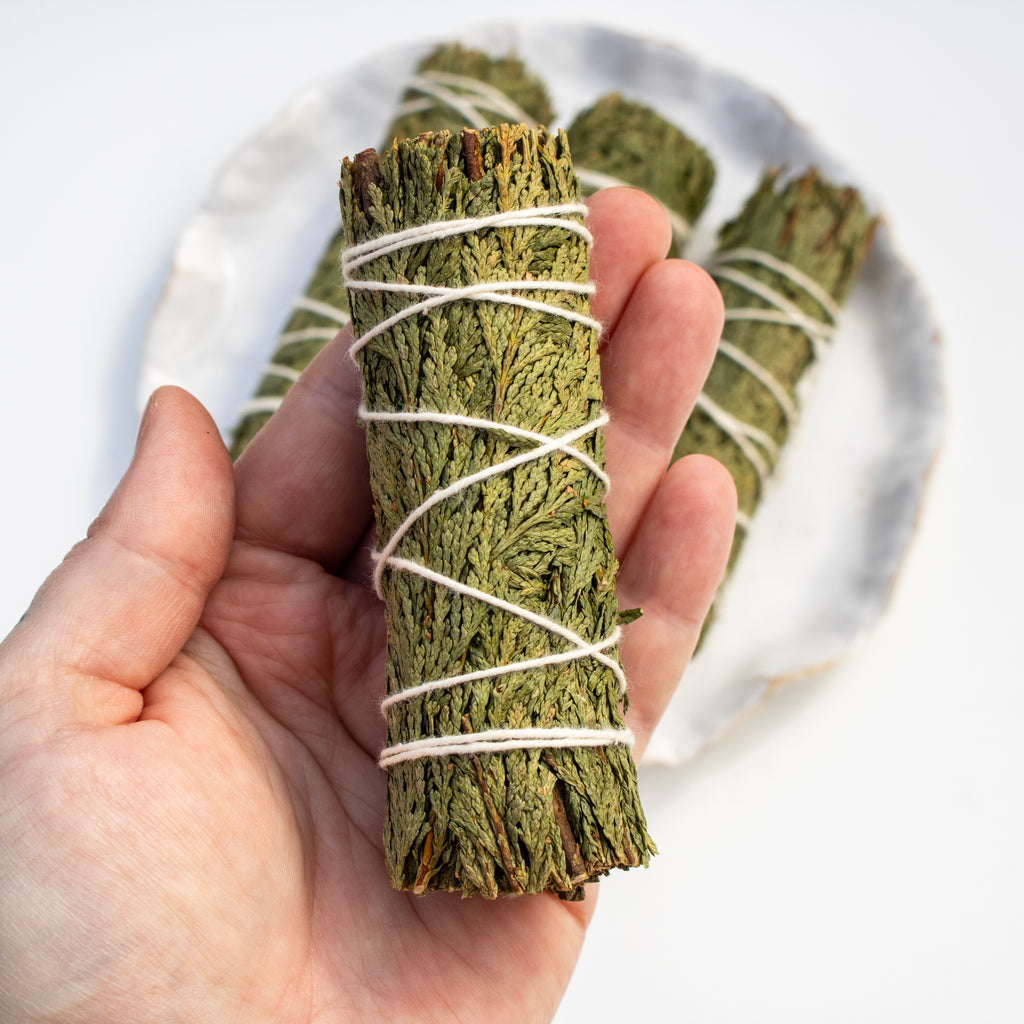 Hand holding a bundle of green cedar leaves tied with string, with more bundles in the background on a white plate.