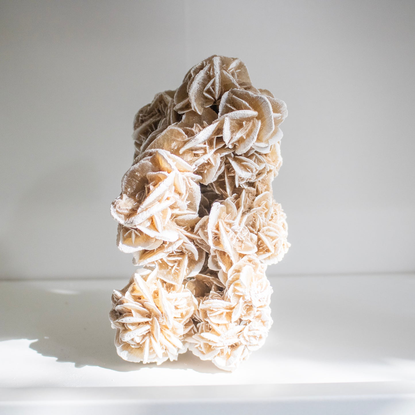 Large Desert Rose Crystal Cluster – Statement Piece