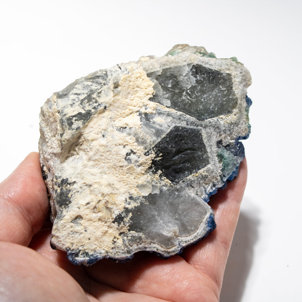 Hand holding a rough-textured rock with white and gray colors on a white background