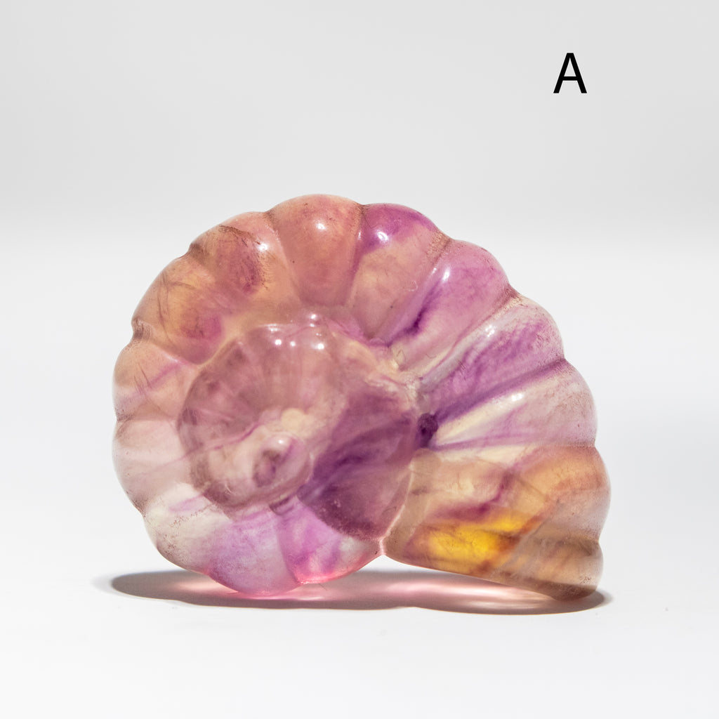 Multicolored stone with a spiral pattern on a white background