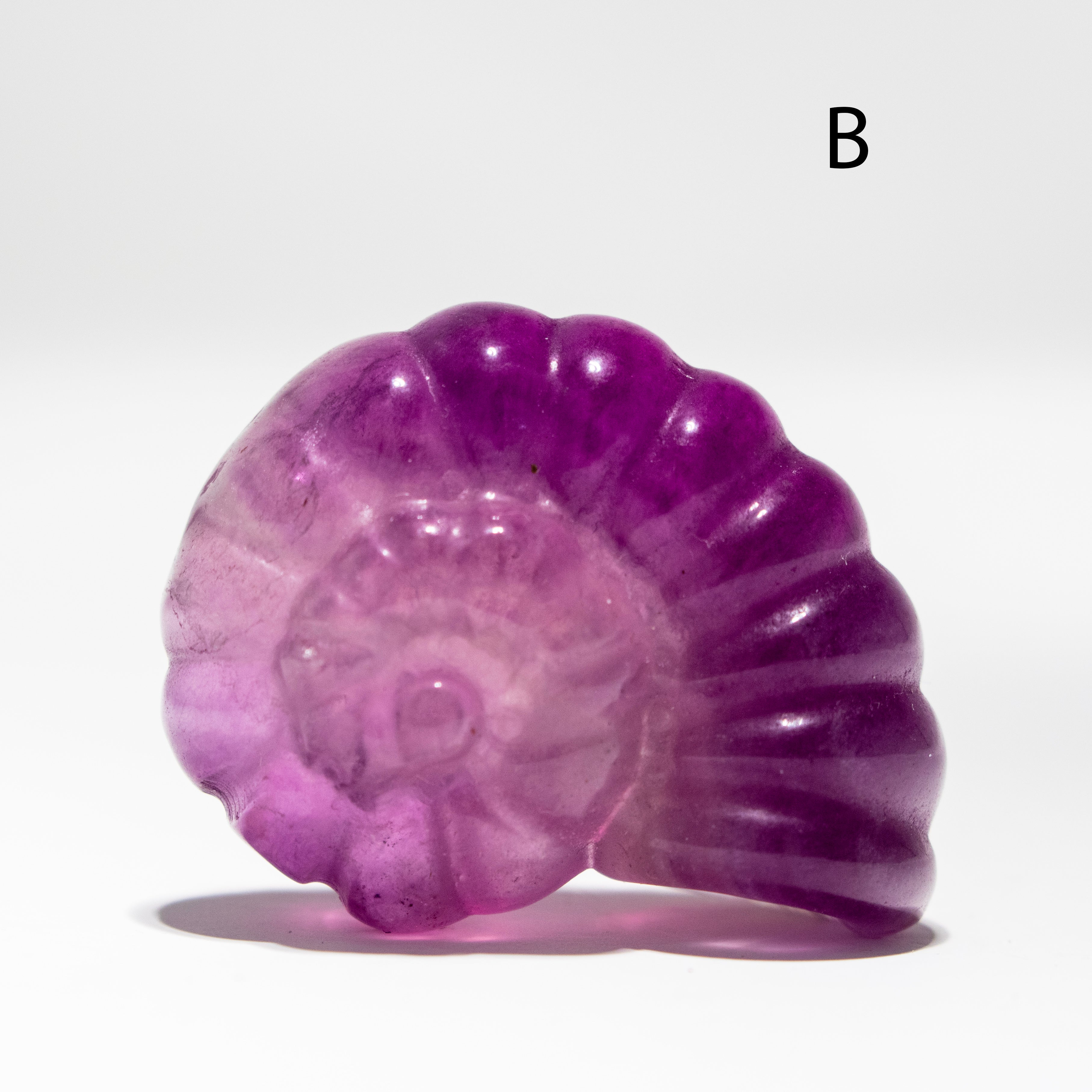 Purple ammonite crystal on a white background