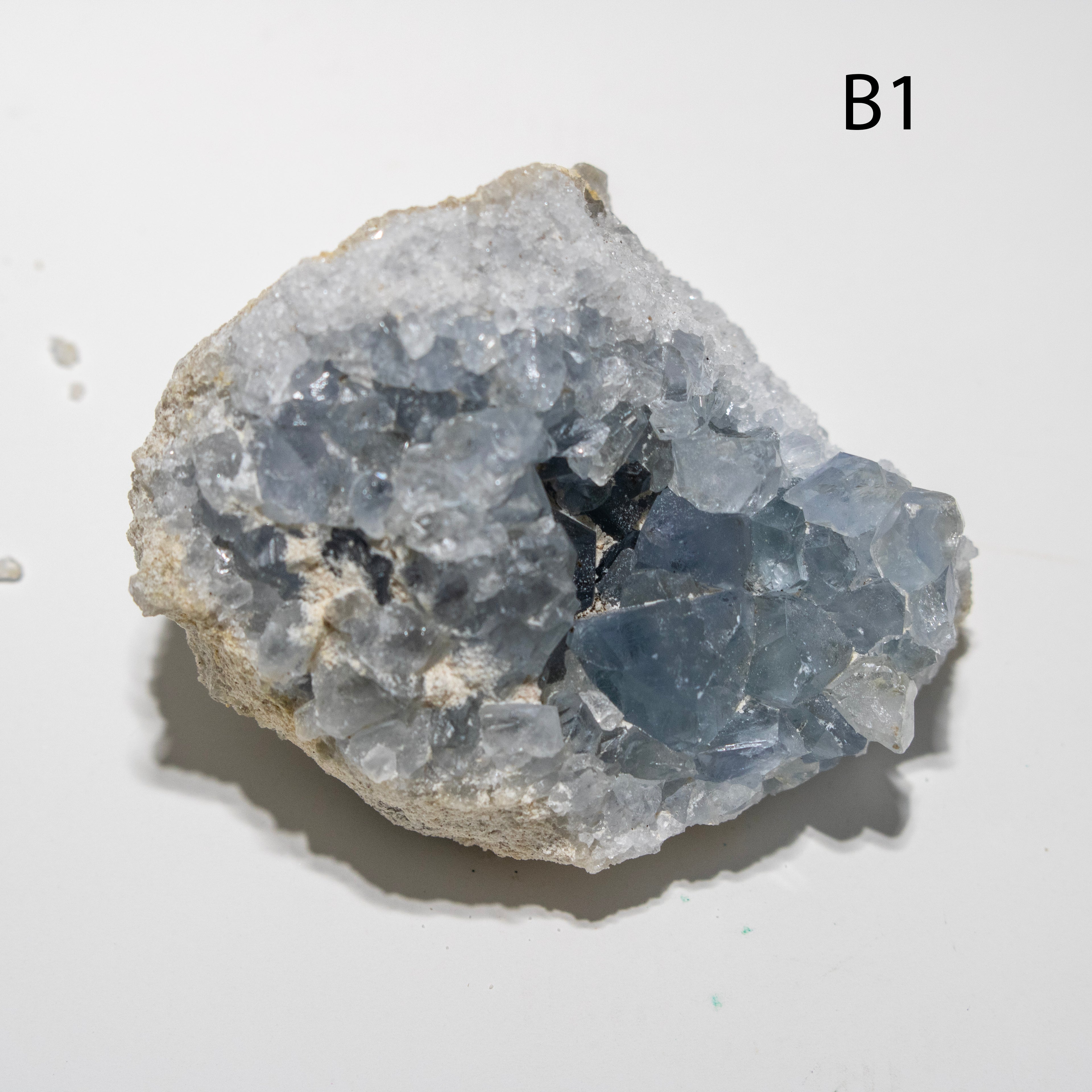 Mineral sample with blue crystals on a white background