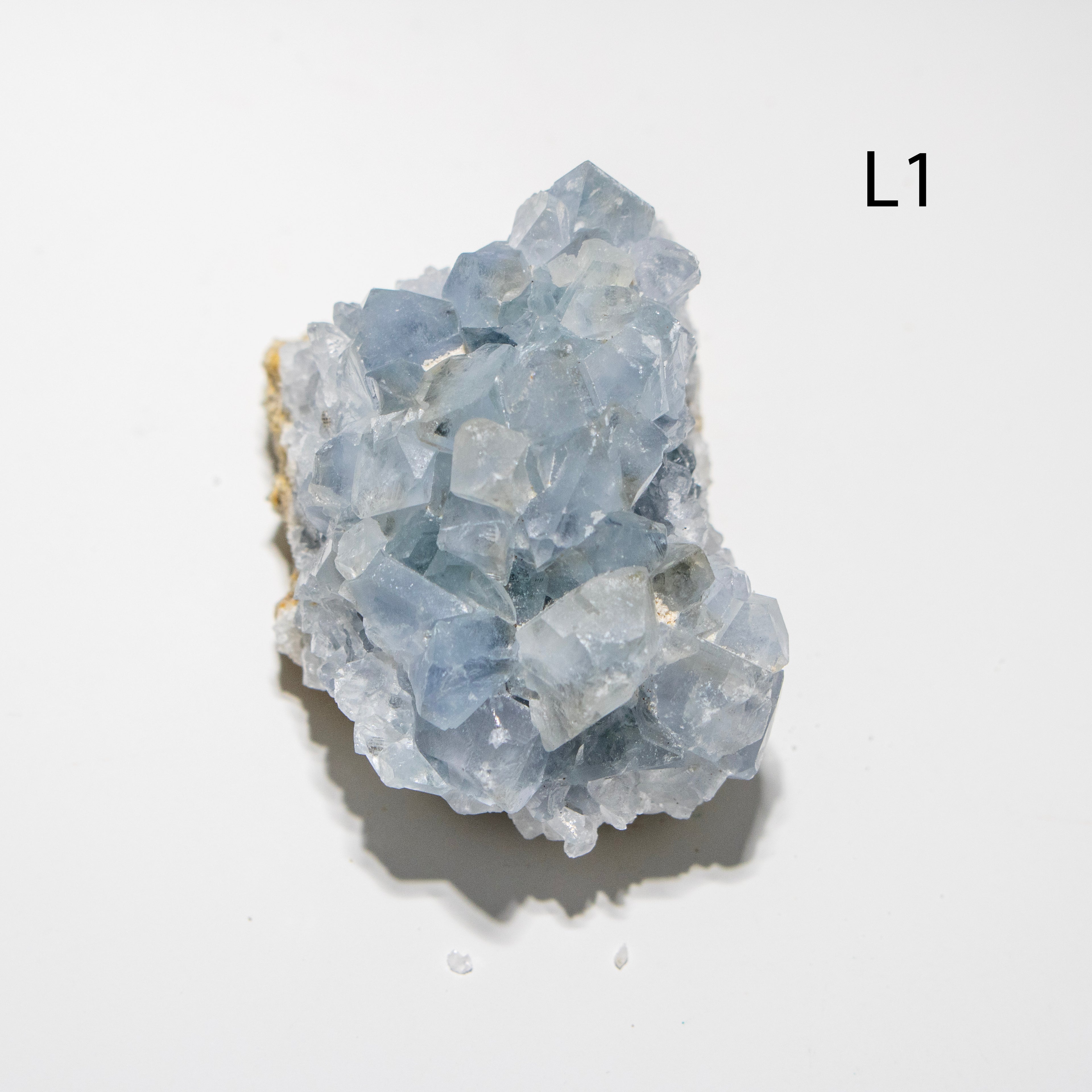 Blue crystal cluster on a light gray background