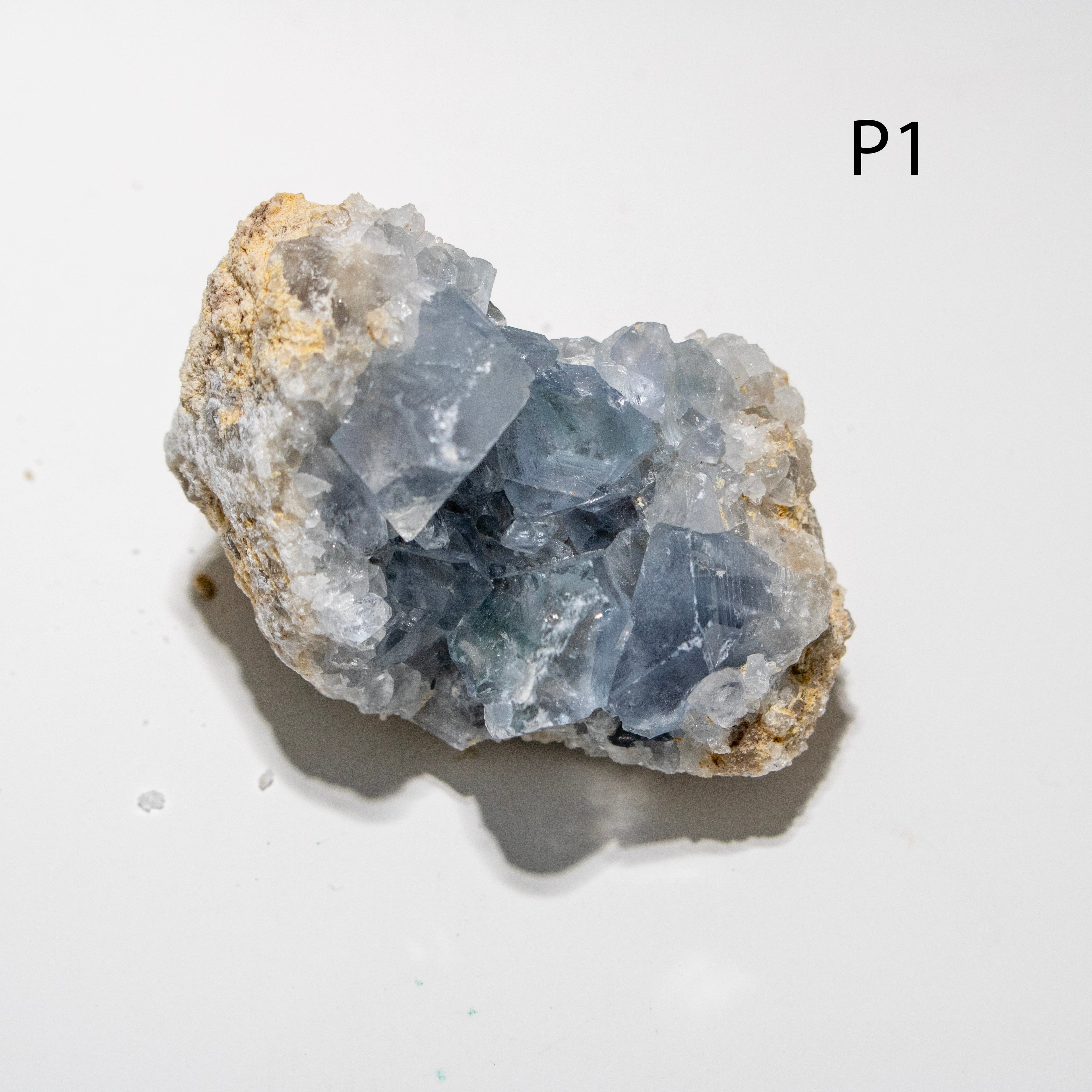 Mineral sample with blue crystals on a white background