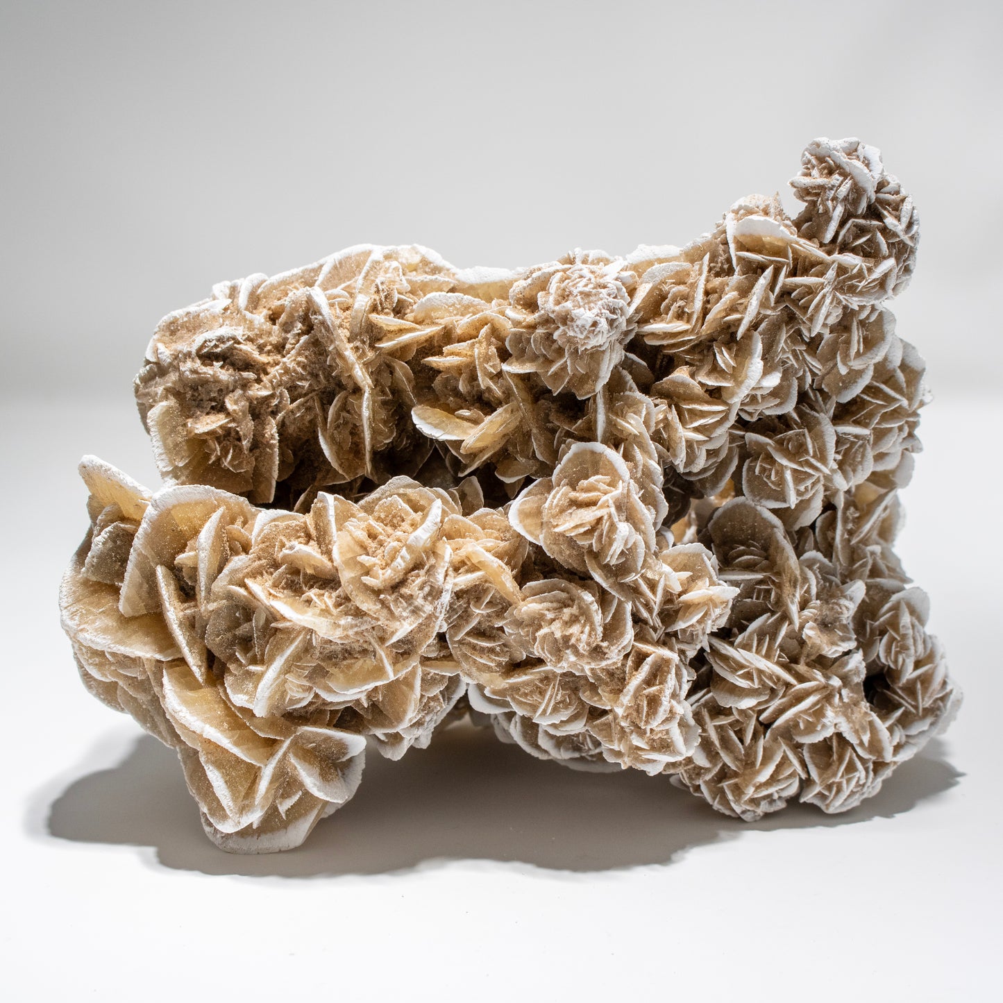 Large Desert Rose Crystal Cluster – Statement Piece