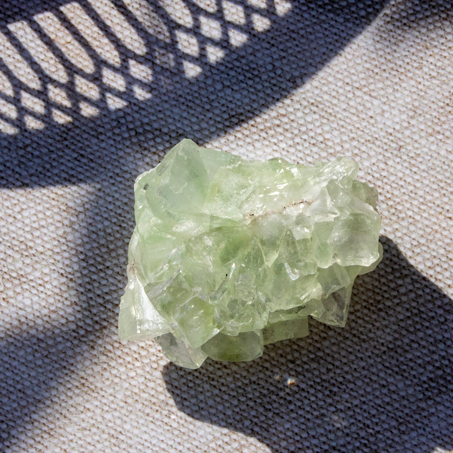 Green Apophyllite Crystal Cluster