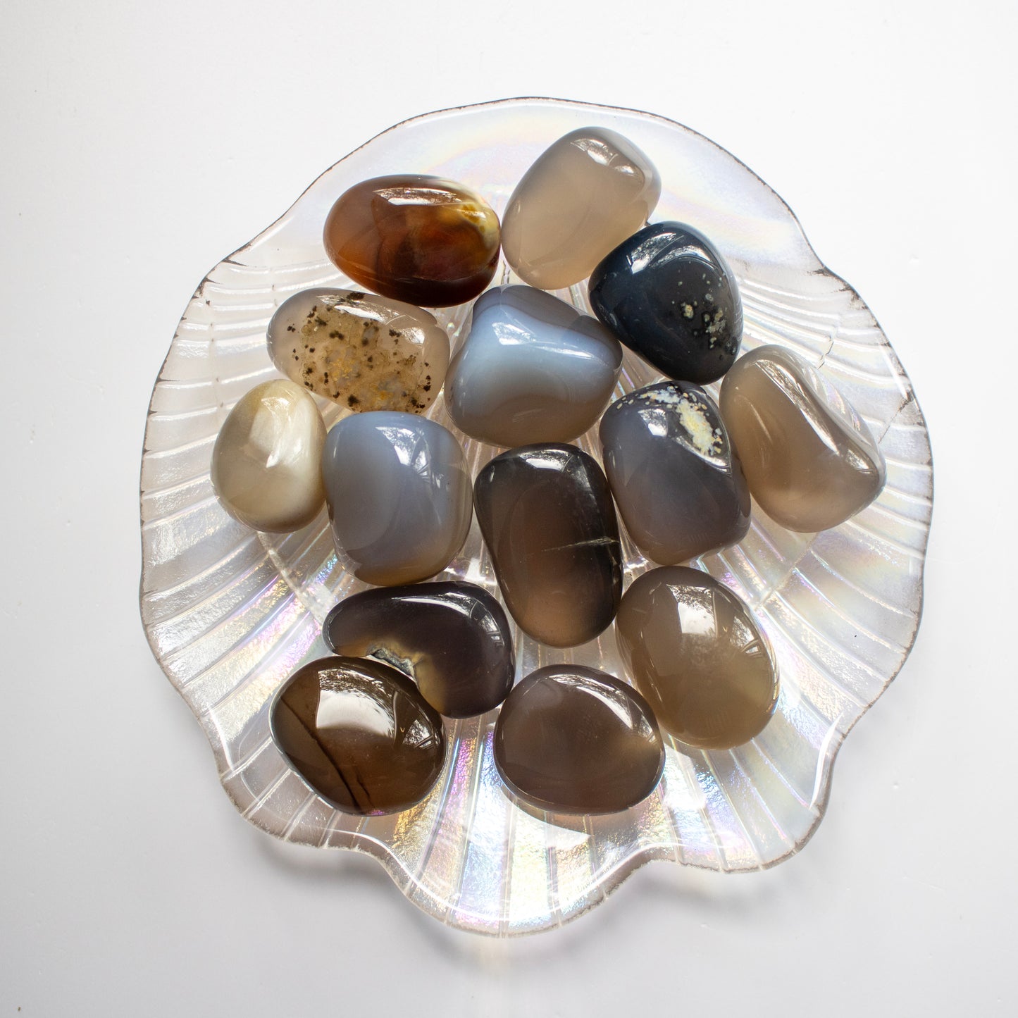 Iridescent Glass Scallop Shell Dish