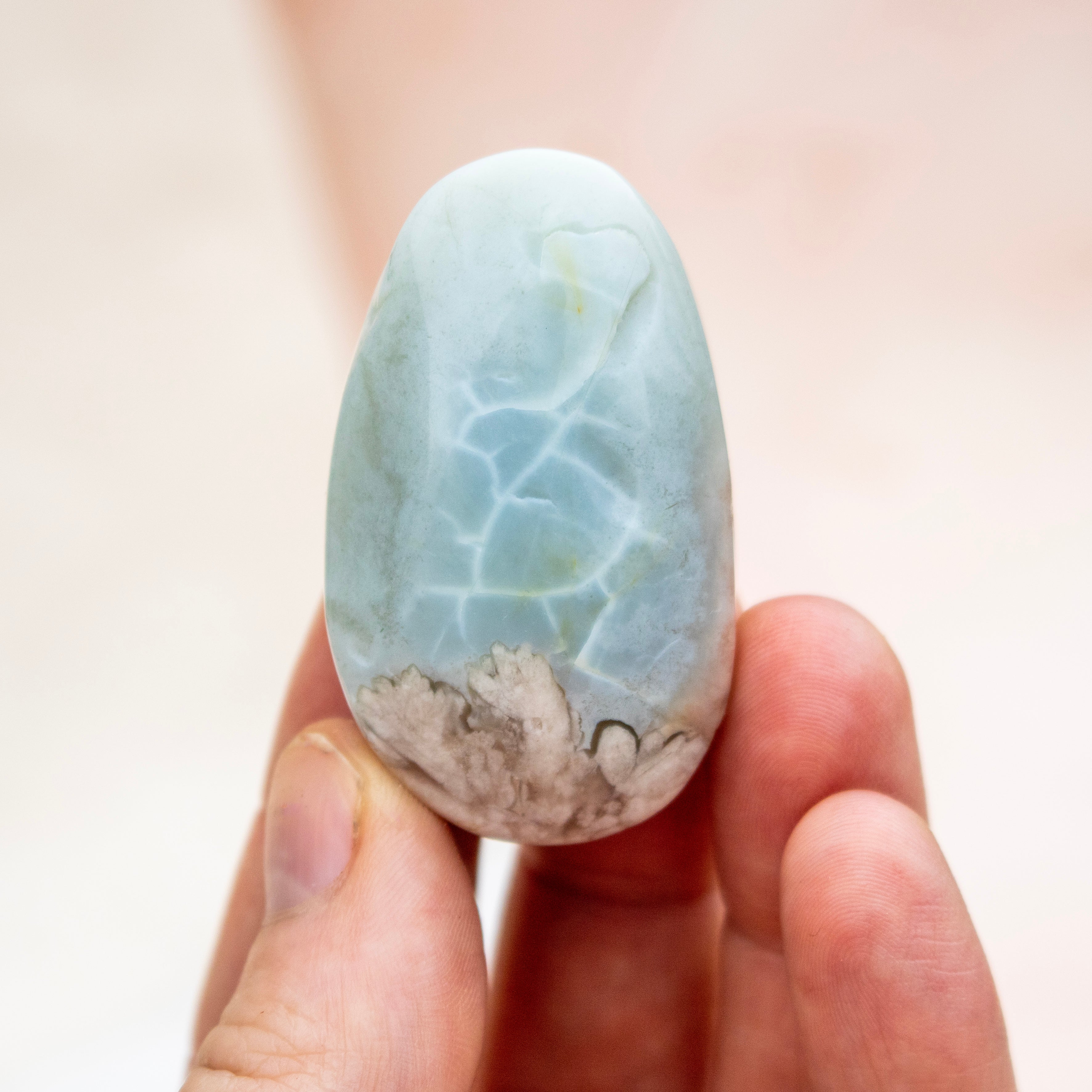 Green Flower Agate Polished Teardrop