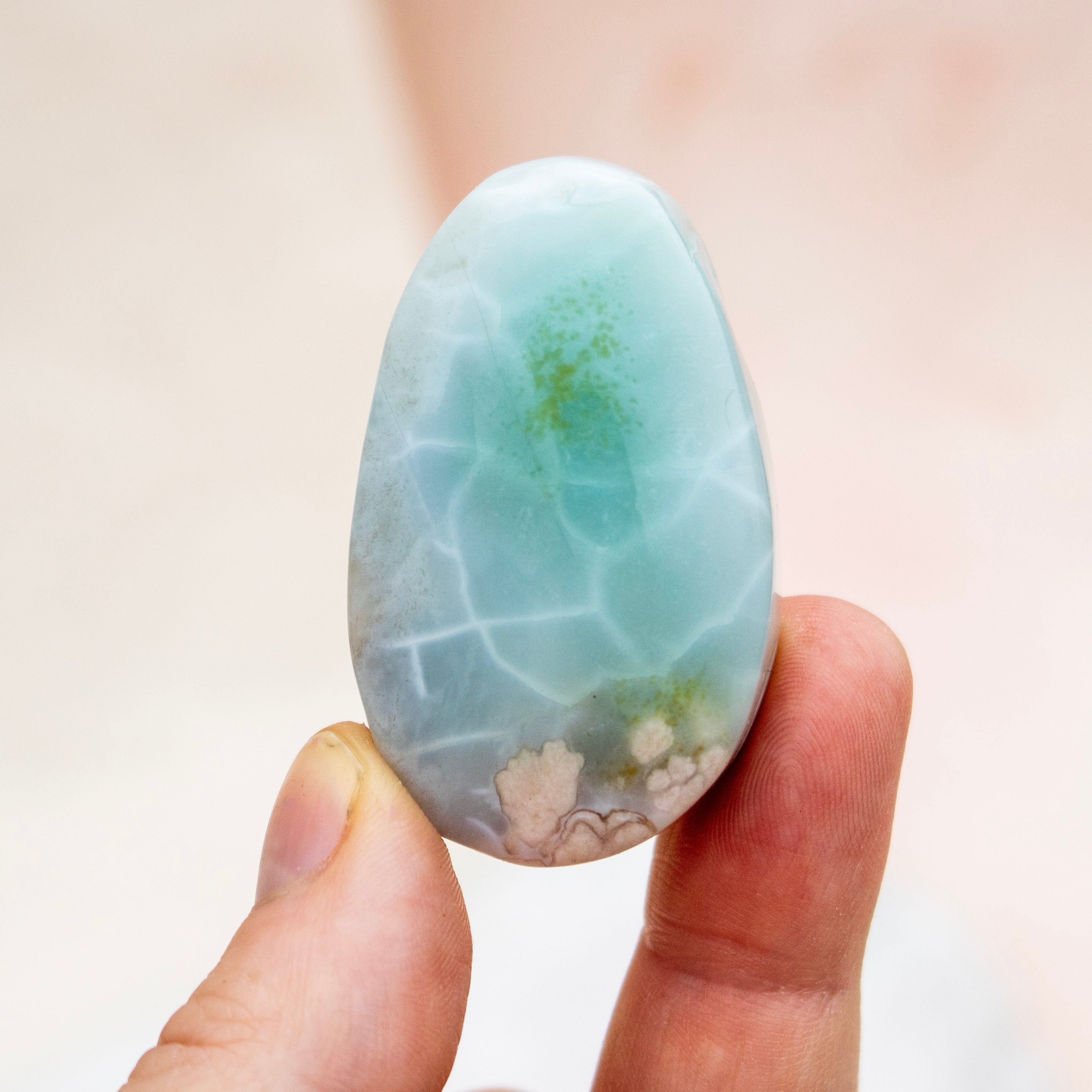 Green Flower Agate Polished Teardrop