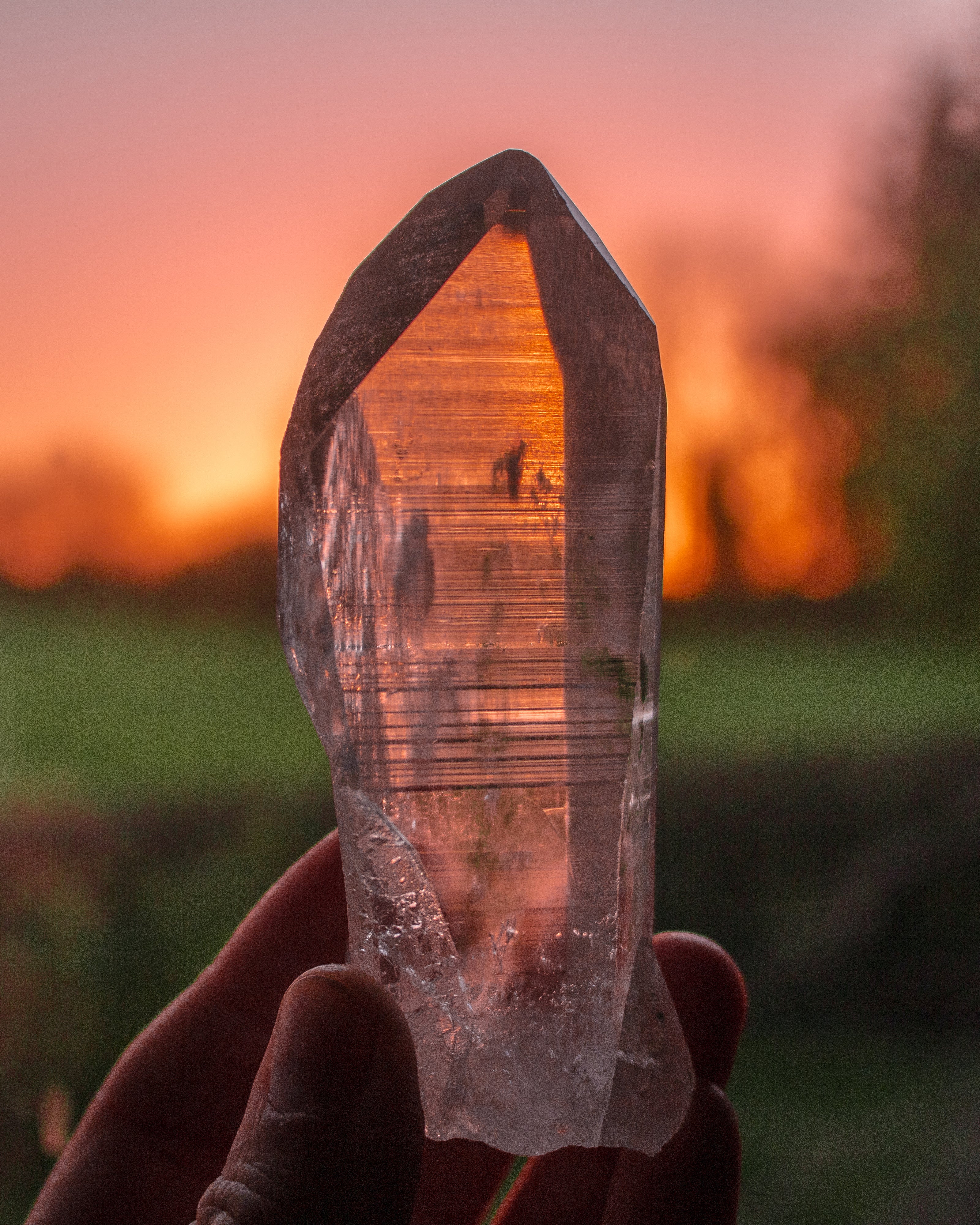 Clear Lemurian Quartz Point With Green Chlorite