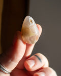 Flower Agate Teardrop