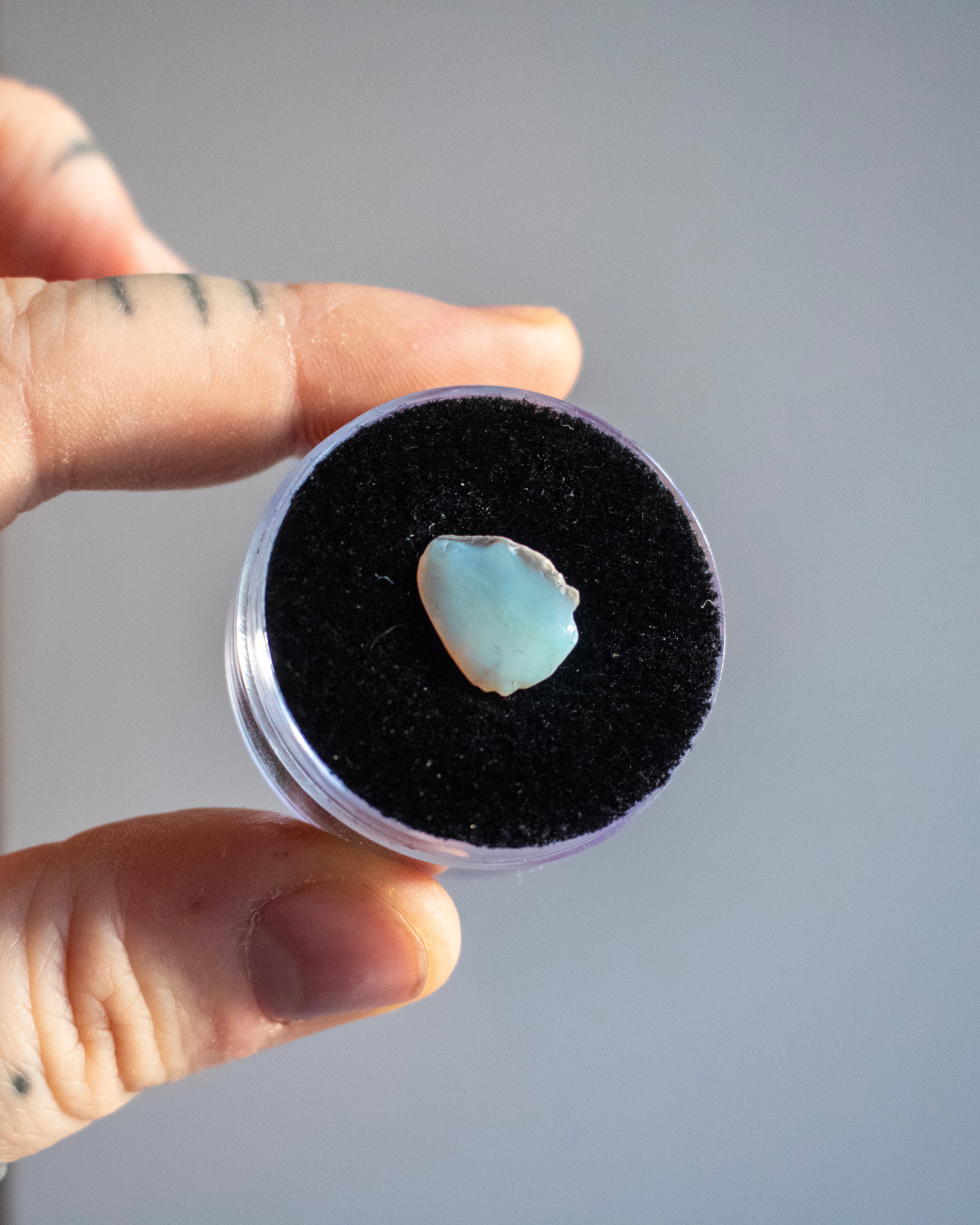 White Mexican Opal in Display Case