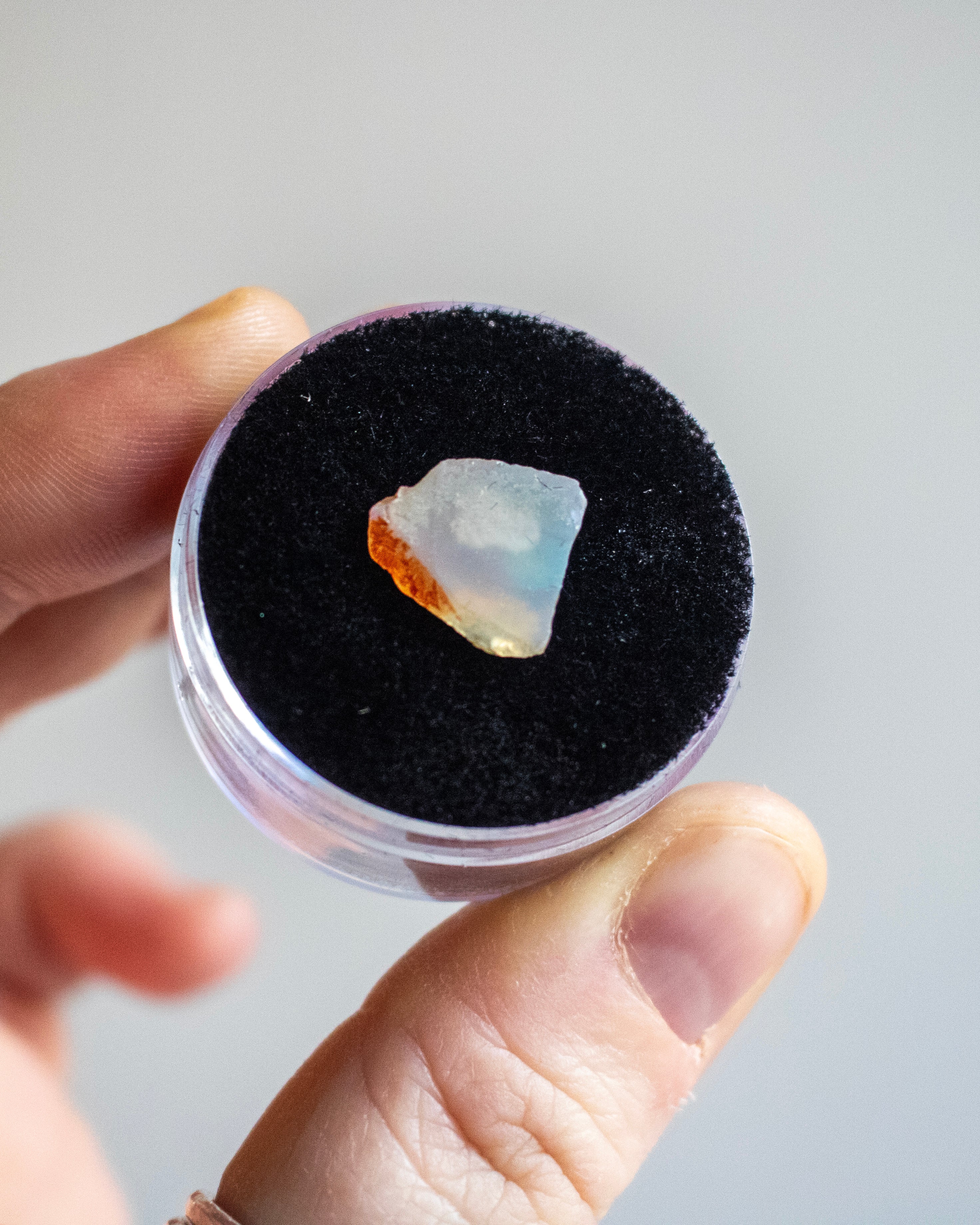 White Mexican Opal in Display Case