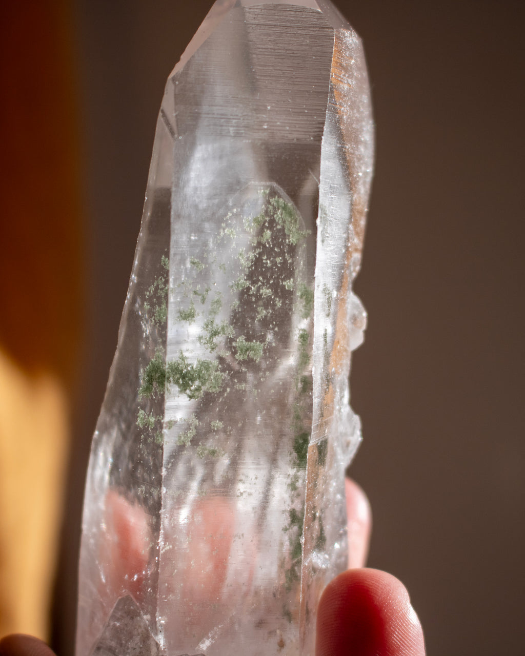 Clear Lemurian Quartz Point With Green Chlorite